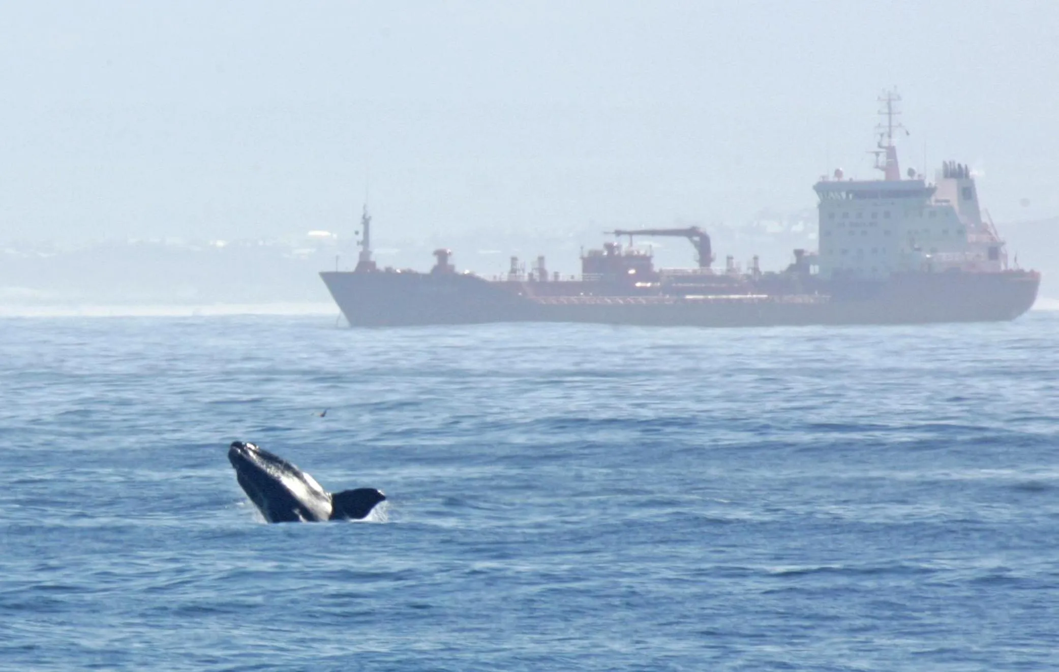 Off site in Dolphin Inn Guesthouse