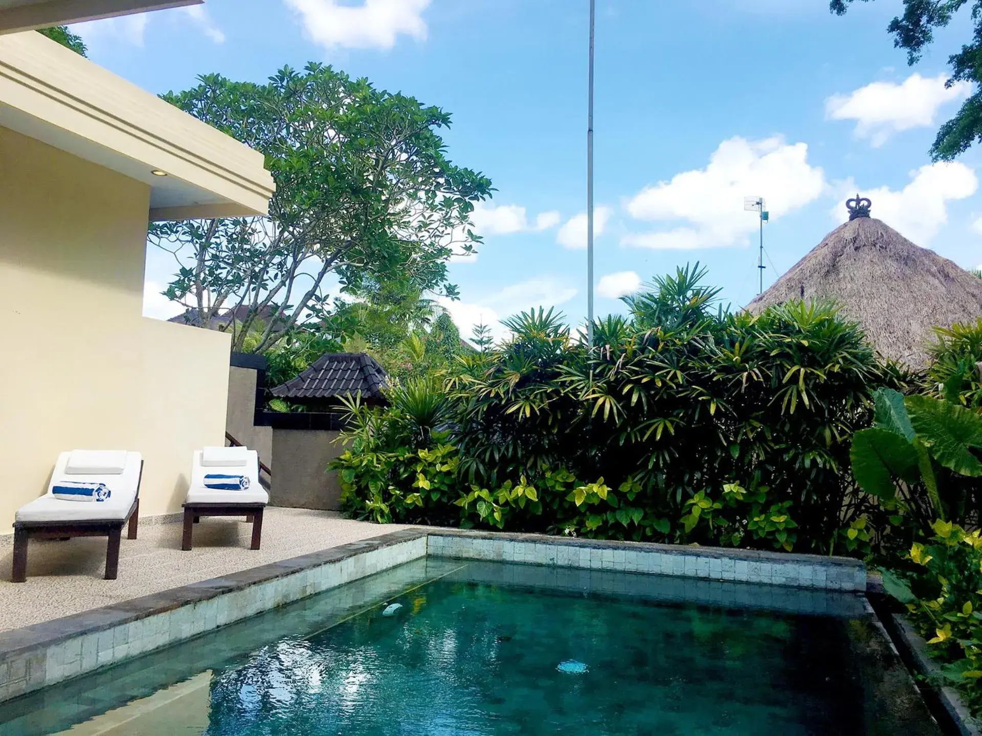 Swimming Pool in Villa Nirvana