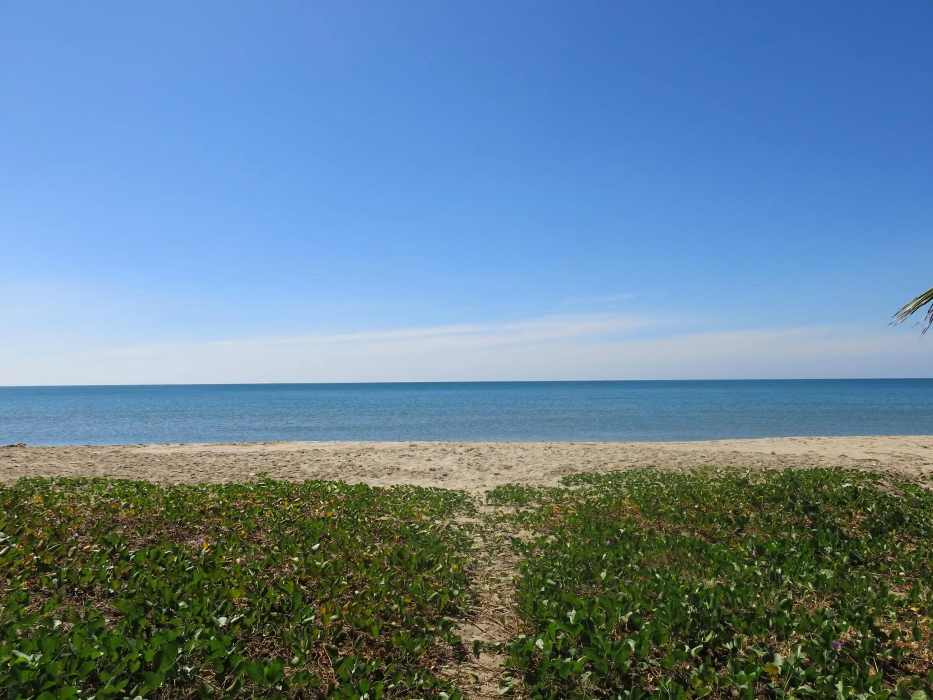 Natural landscape in Bayview Resort