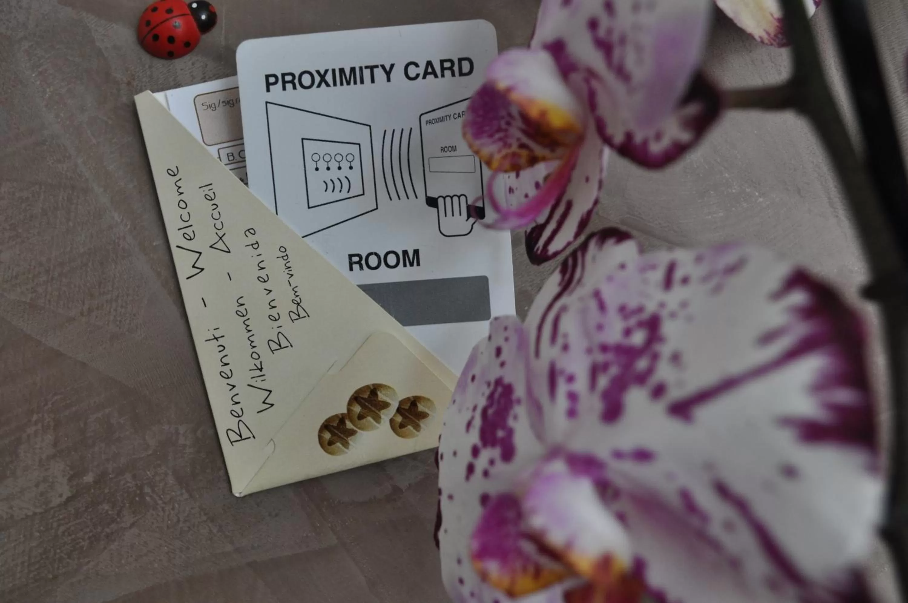 Logo/Certificate/Sign in Hotel Miramare