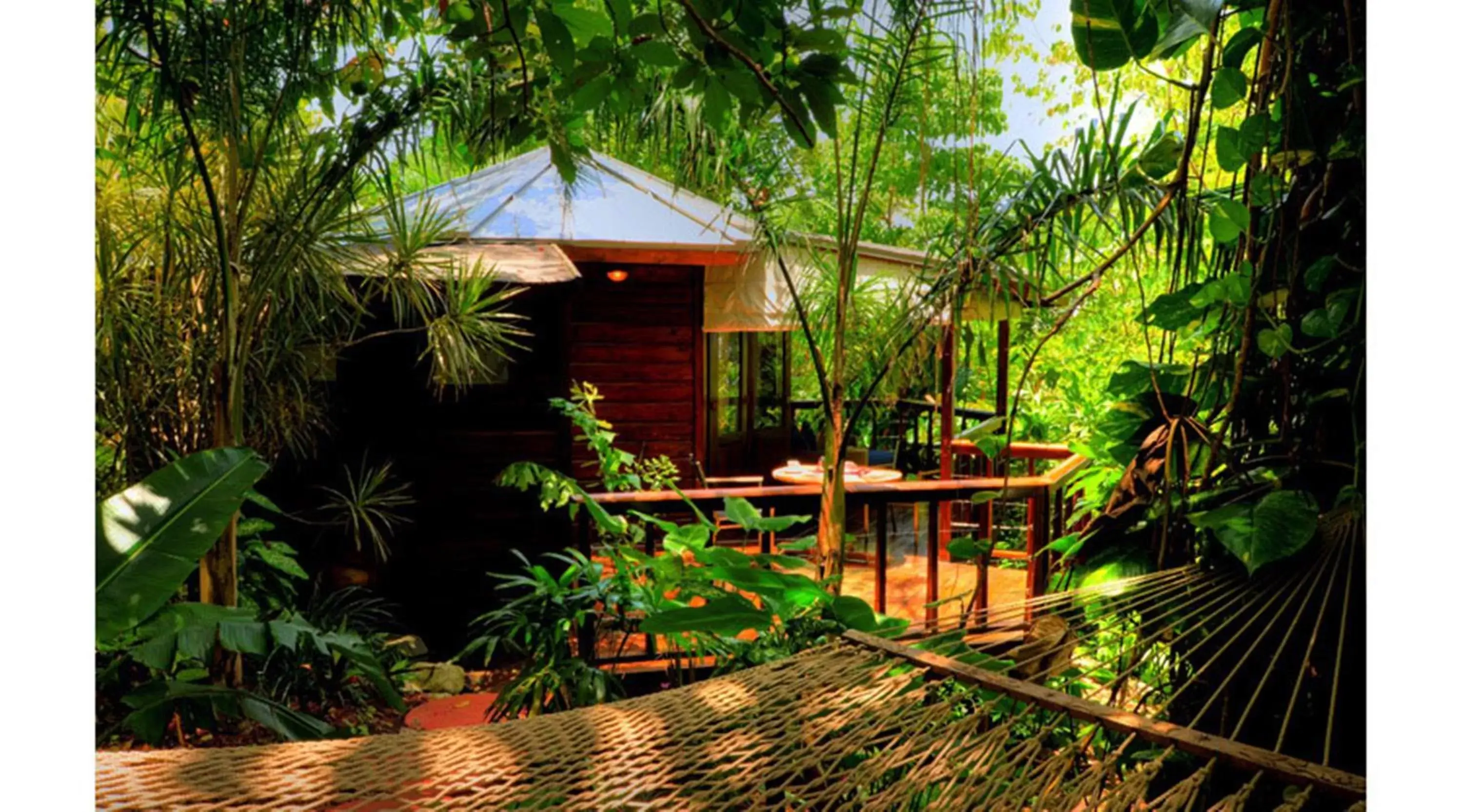 Garden in Geejam Garden in Geejam