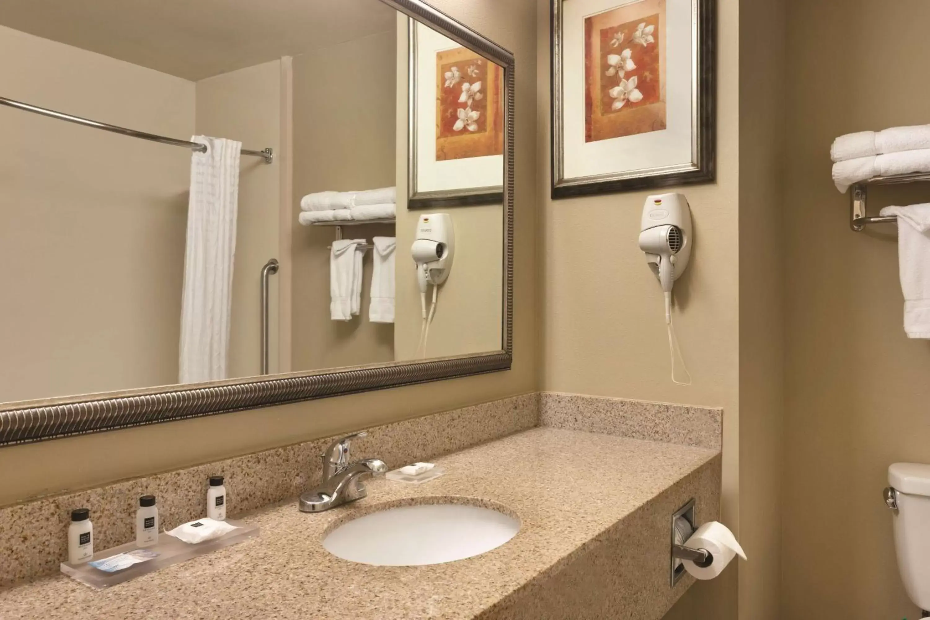 Bathroom in Country Inn & Suites by Radisson, Goodlettsville, TN