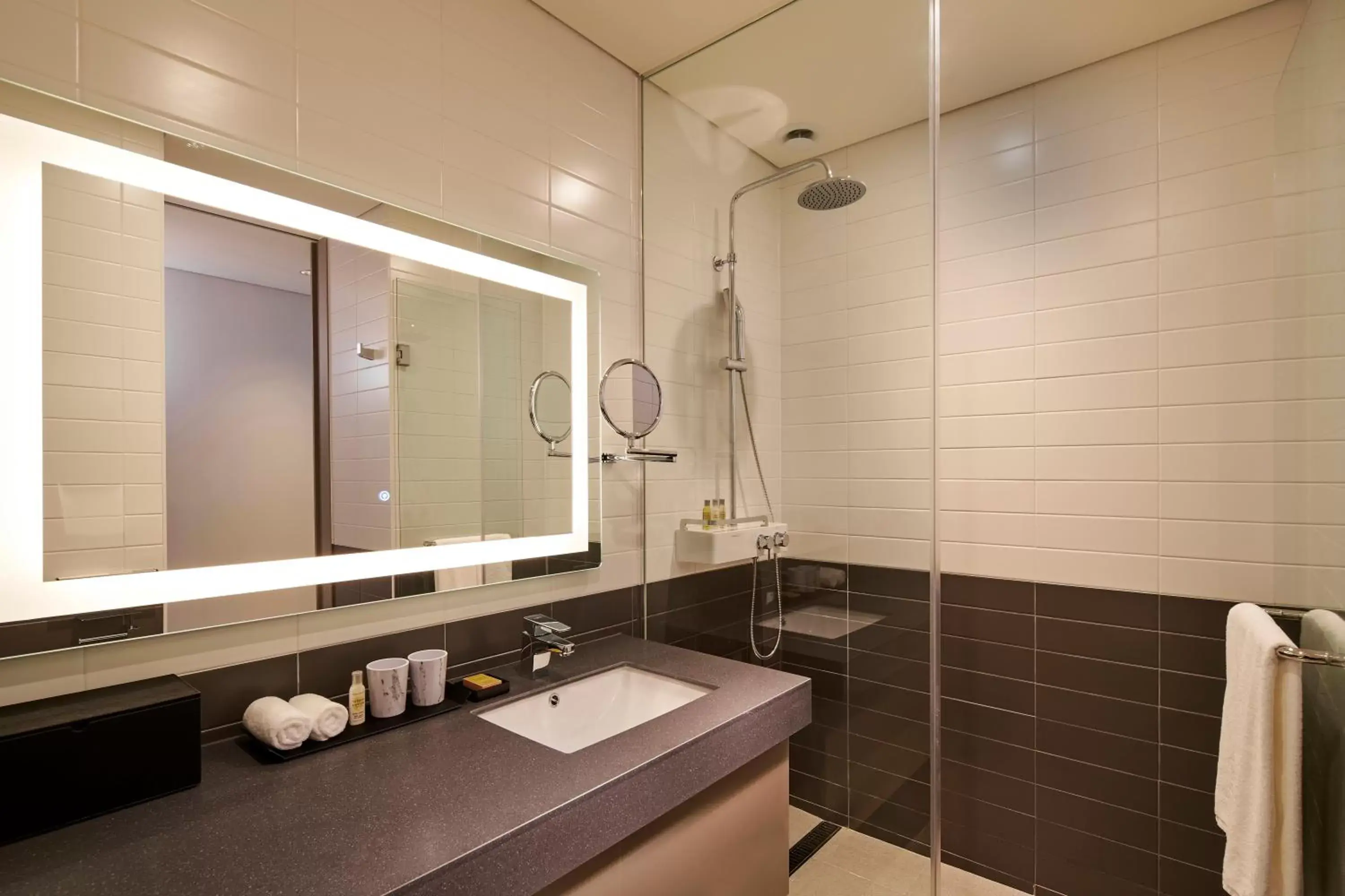 Shower, Bathroom in Hilton Garden Inn Seoul Gangnam