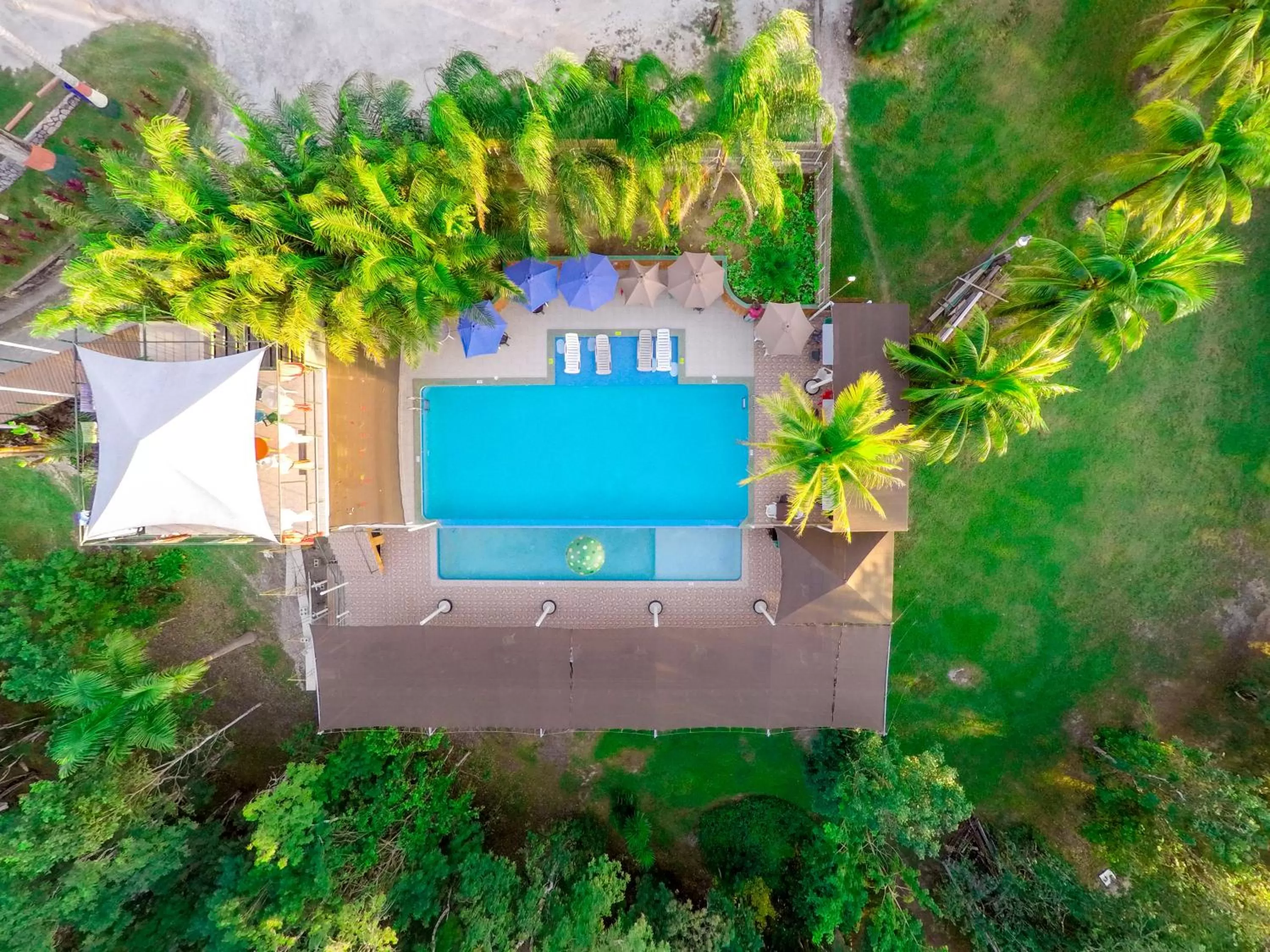 Bird's eye view in Rumors Resort Hotel