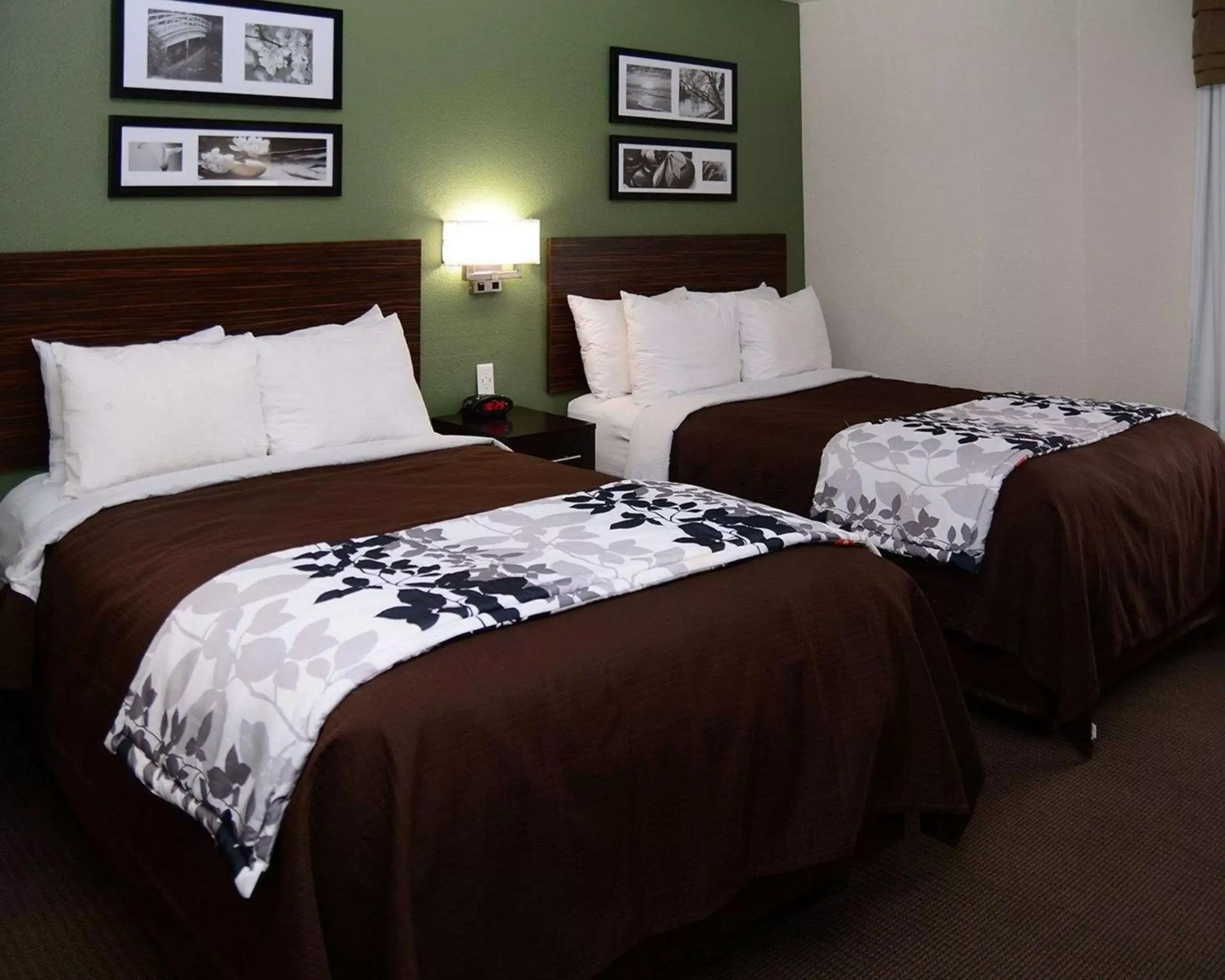 Photo of the whole room, Bed in Sleep Inn Horn Lake-Southaven
