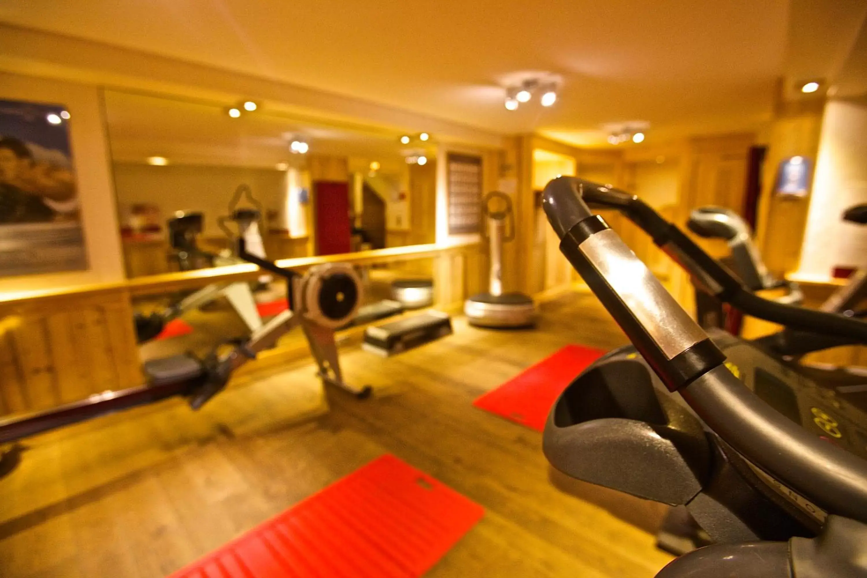 Fitness centre/facilities, Fitness Center/Facilities in Chalet Mounier