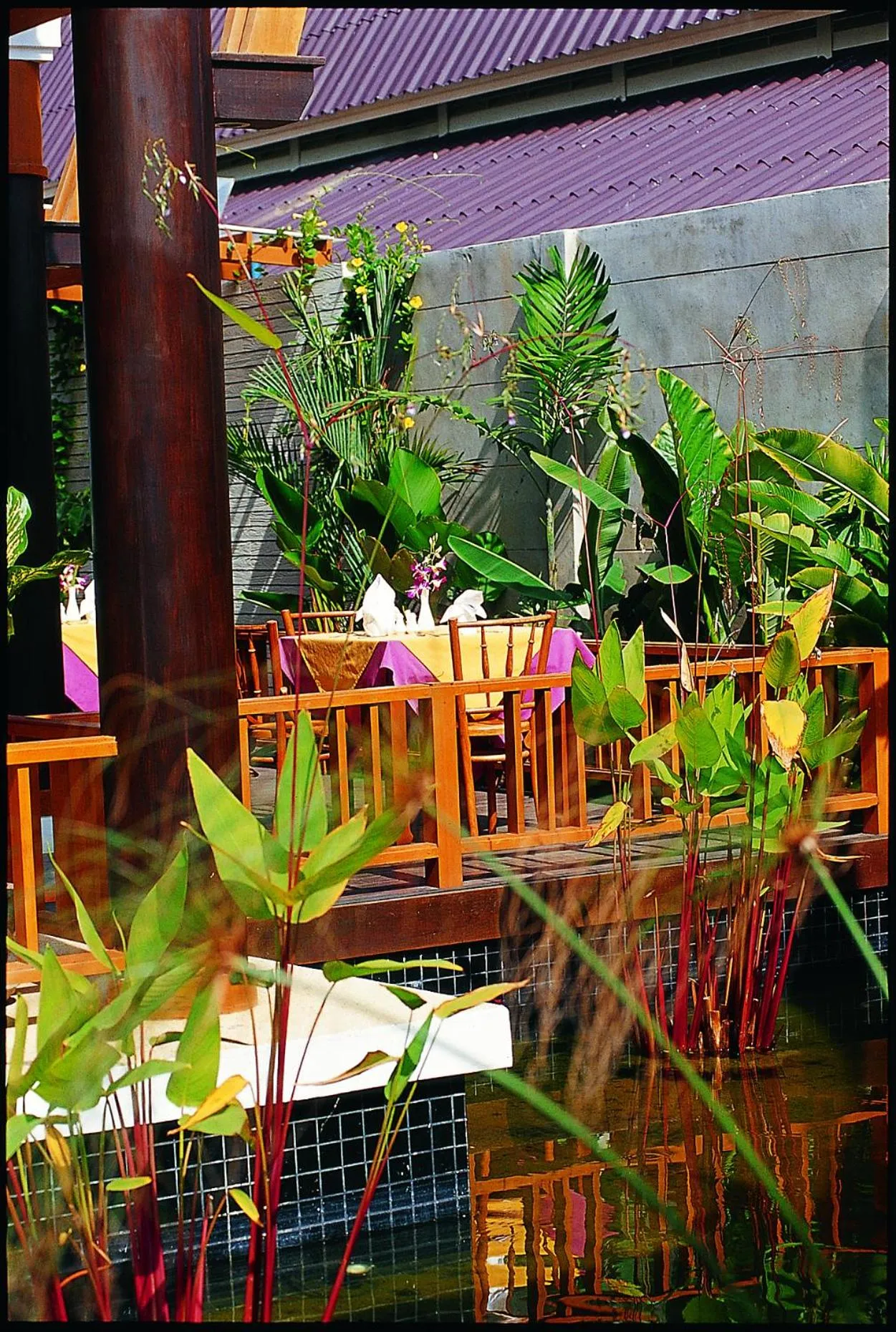 Restaurant/places to eat in Kata Poolside Resort SHA Extra Plus