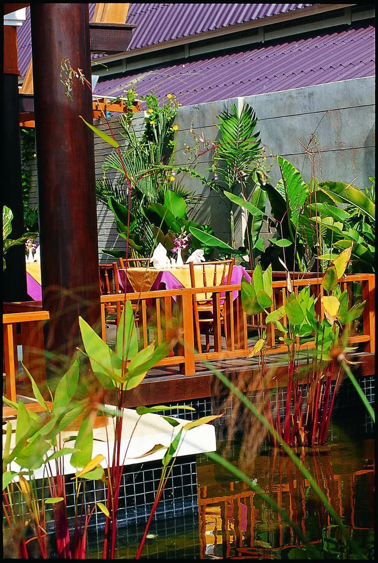 Restaurant/places to eat in Kata Poolside Resort SHA Extra Plus Restaurant/places to eat in Kata Poolside Resort SHA Extra Plus