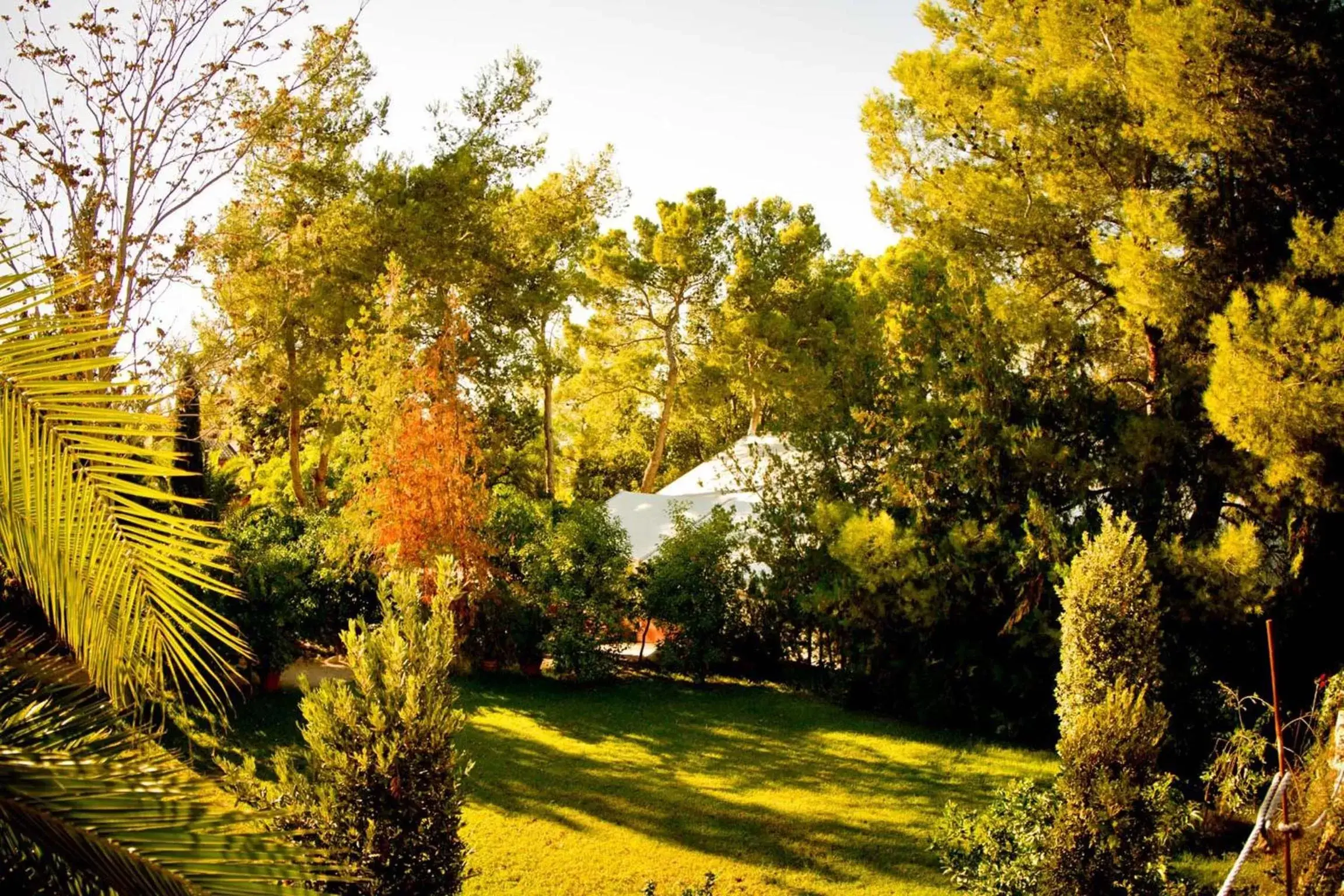 Garden in Mont-Sant
