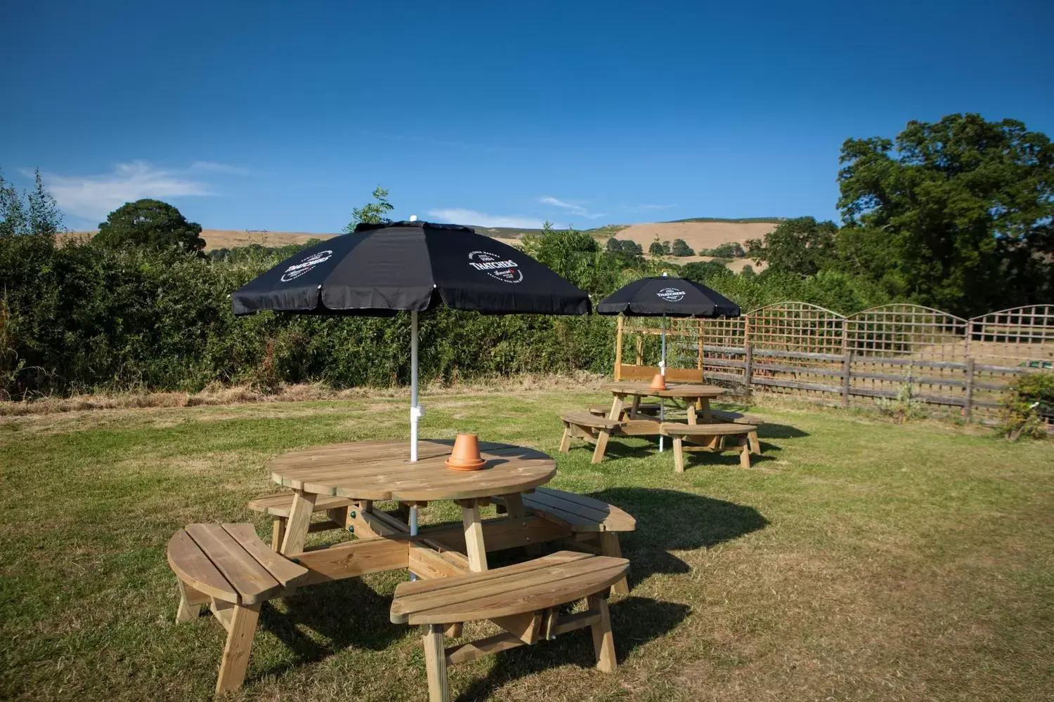 Garden in The Golden Lion Inn