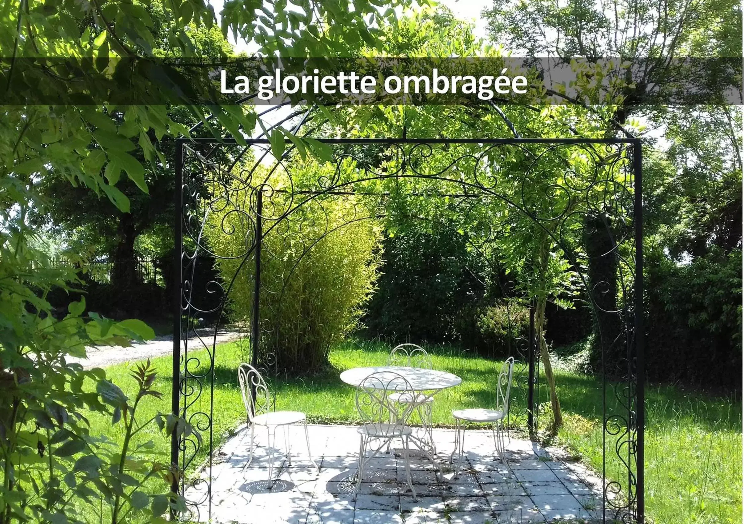 Garden in Hôtel La Ferme de Bourran