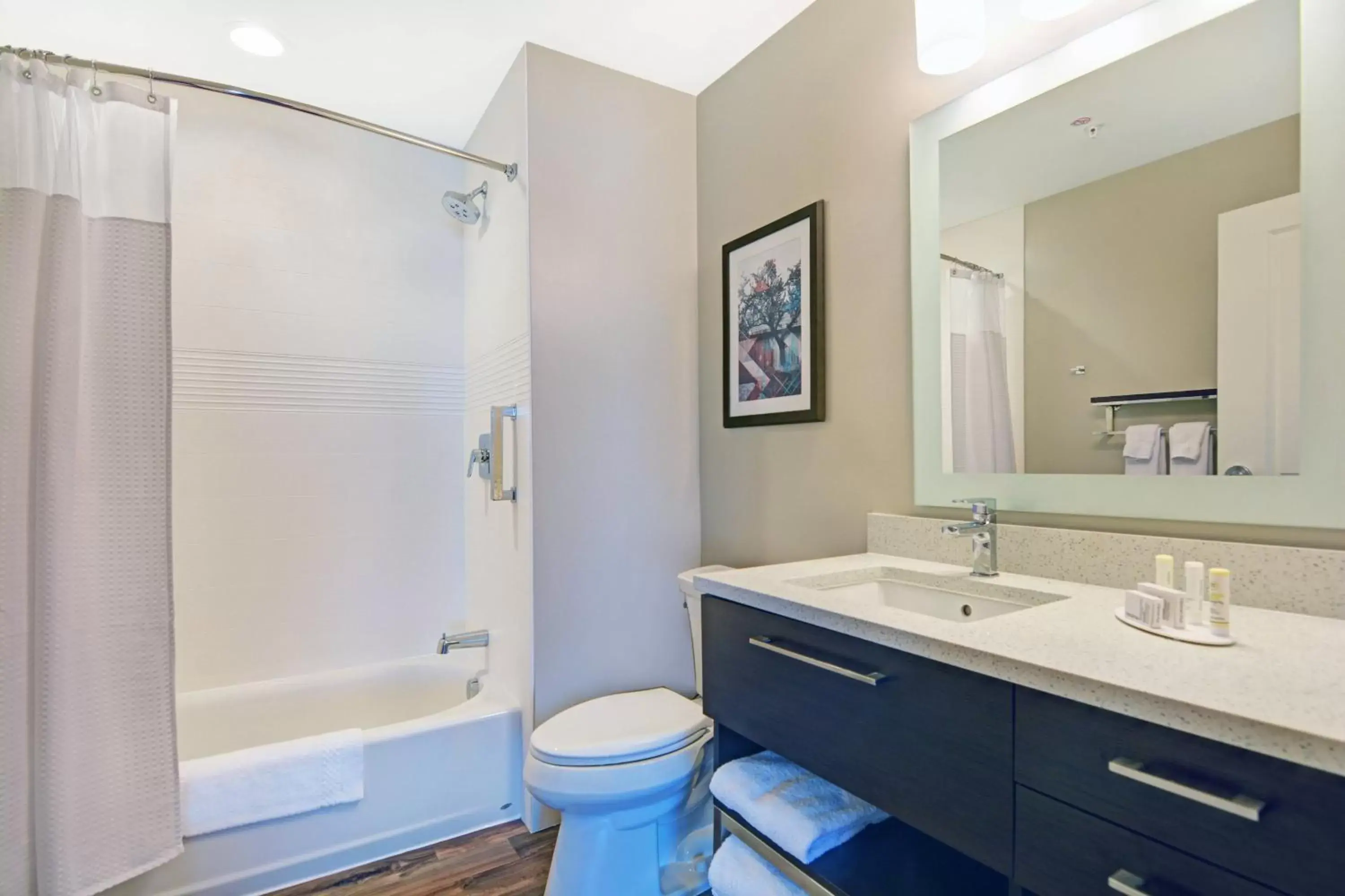 Bathroom in TownePlace Suites by Marriott Jackson Airport/Flowood
