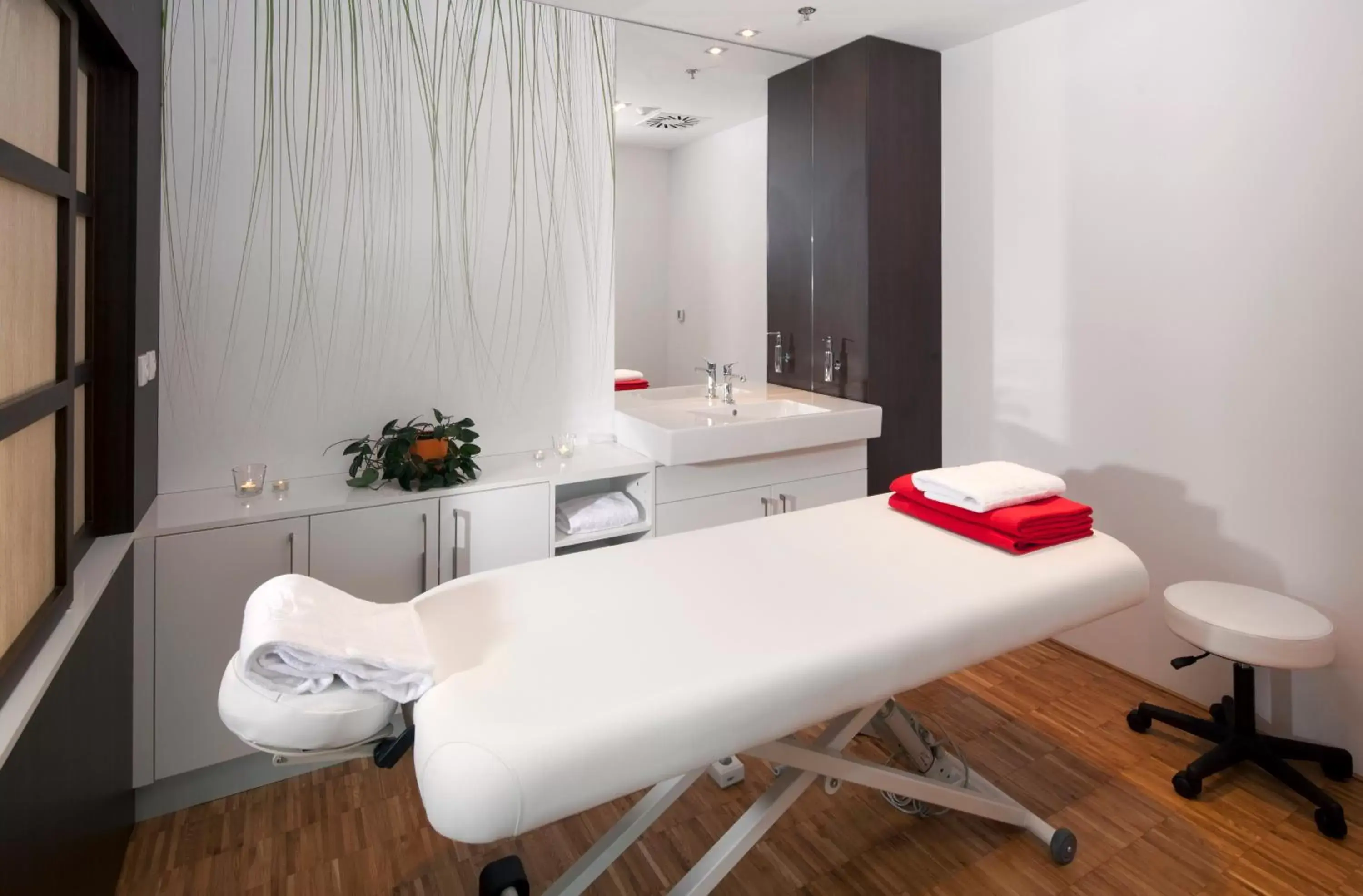 Massage, Spa/Wellness in Clarion Congress Hotel Olomouc