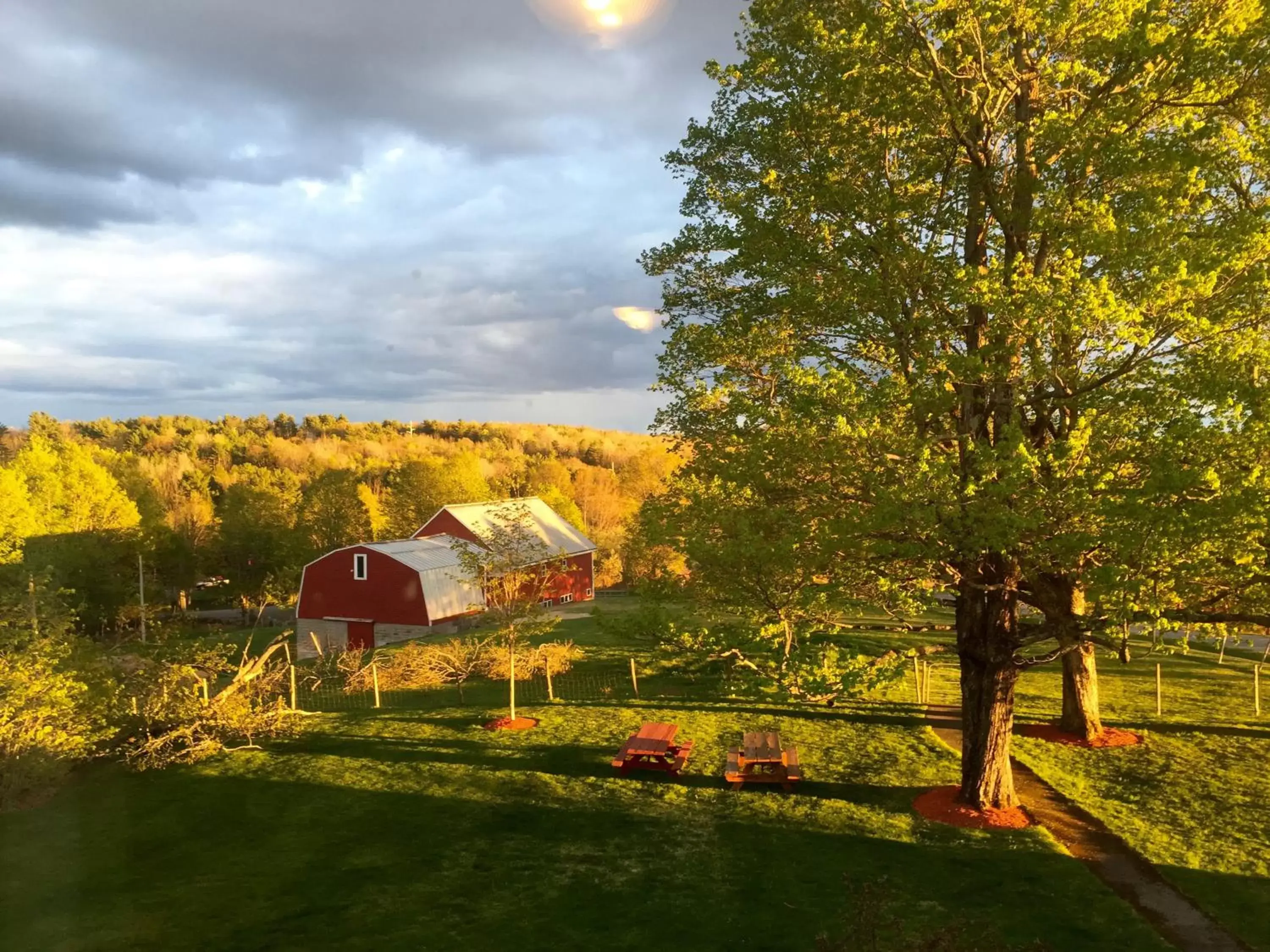 Natural landscape in Maple Hill Farm Inn