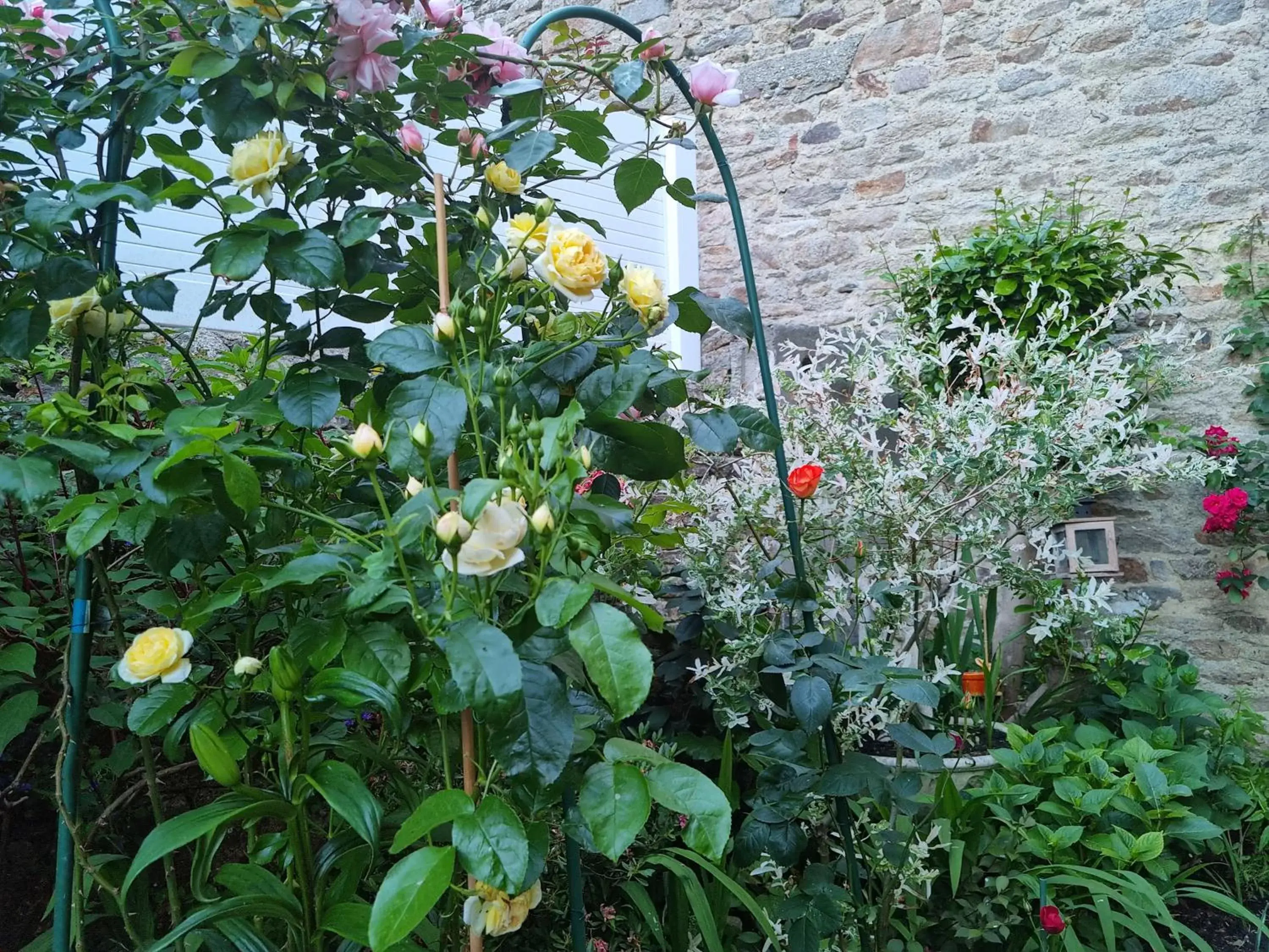 Garden in Breizh & Breakfast
