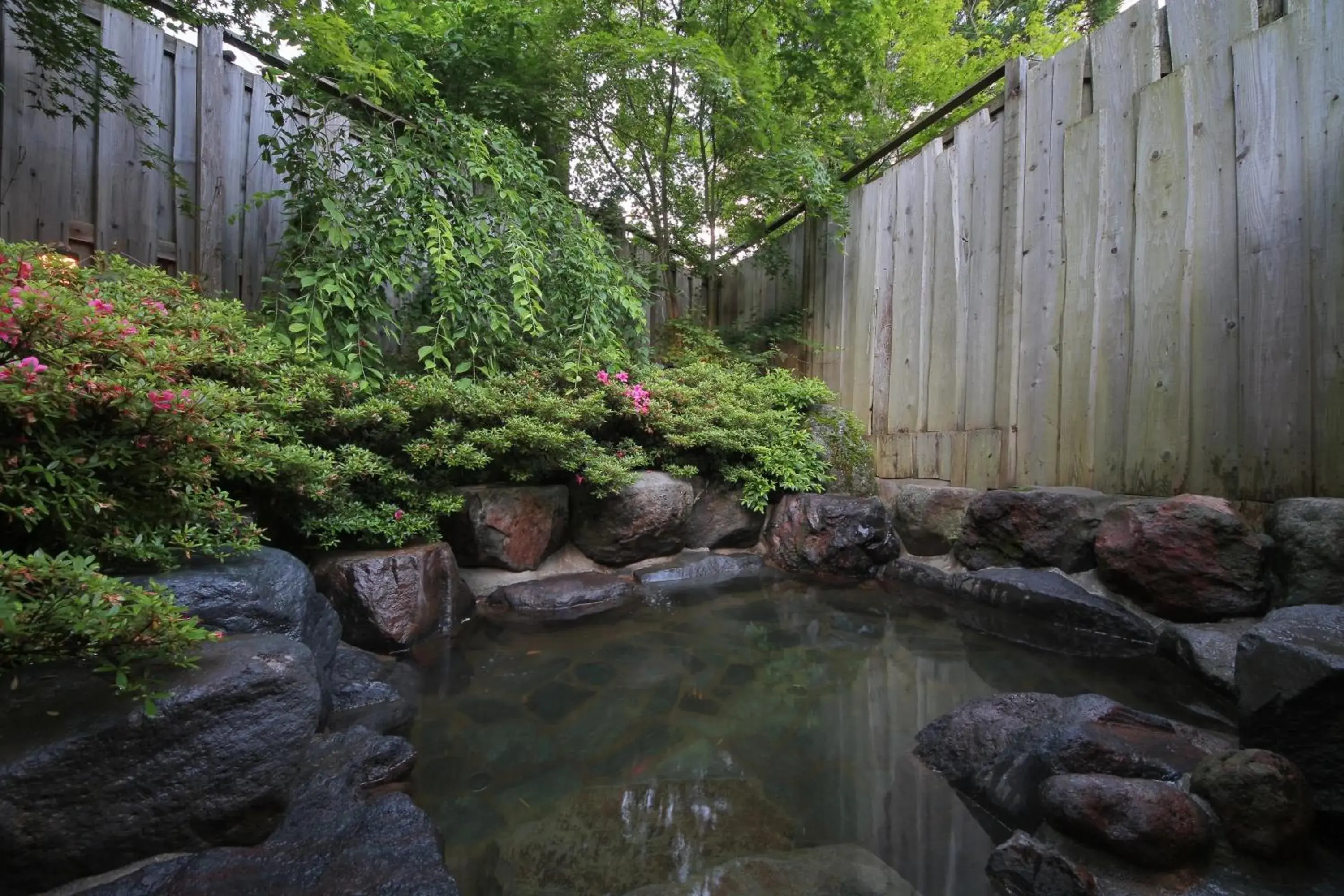 Hot Spring Bath, Natural Landscape in Hotel Natural Garden Nikko