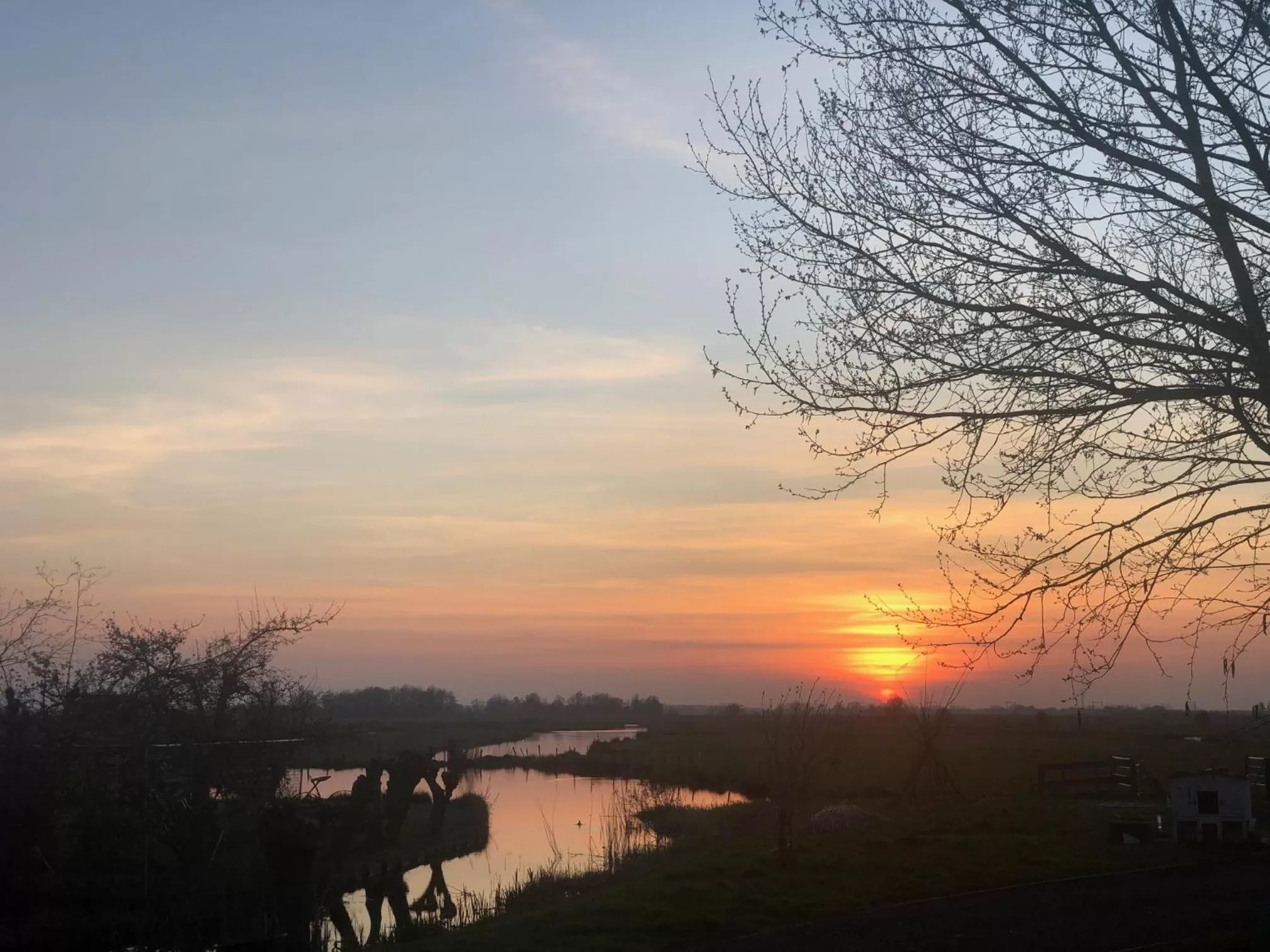 Natural landscape in BnB Purmerland