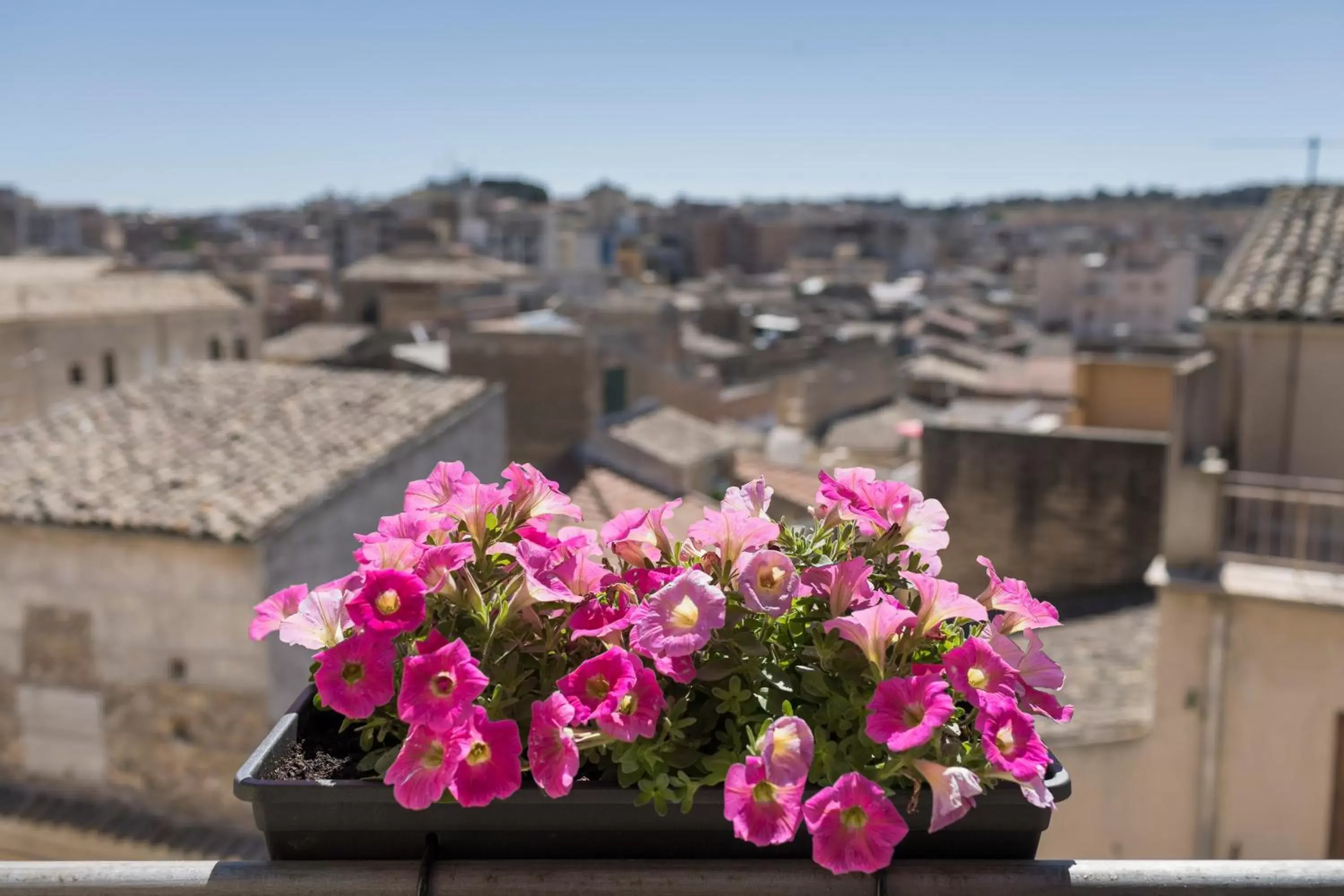 Double Room - single occupancy in Beatus Suites And Rooms B&B Double Room - single occupancy in Beatus Suites And Rooms B&B