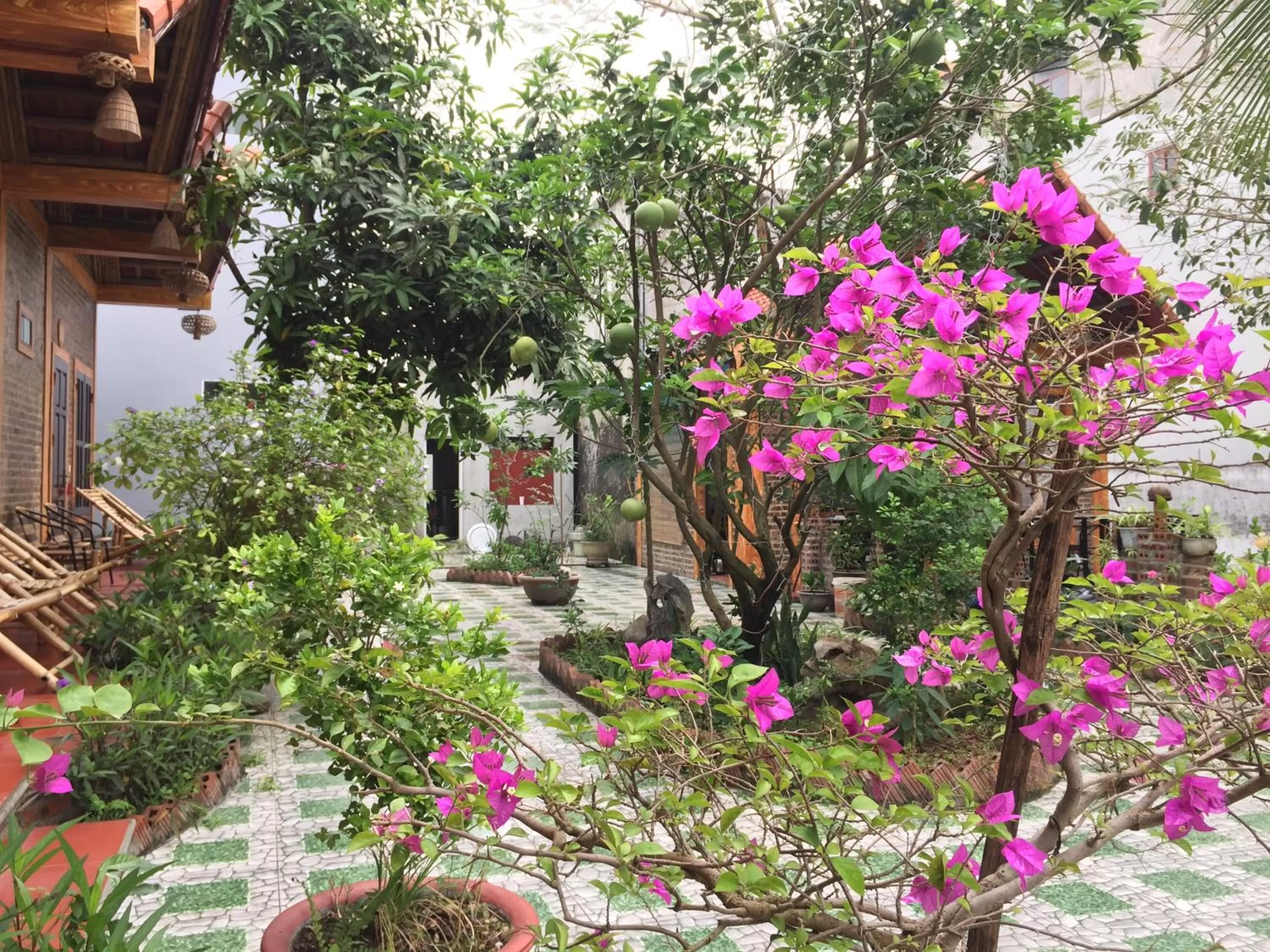 Spring in Tam Coc Vinh Thinh Homestay