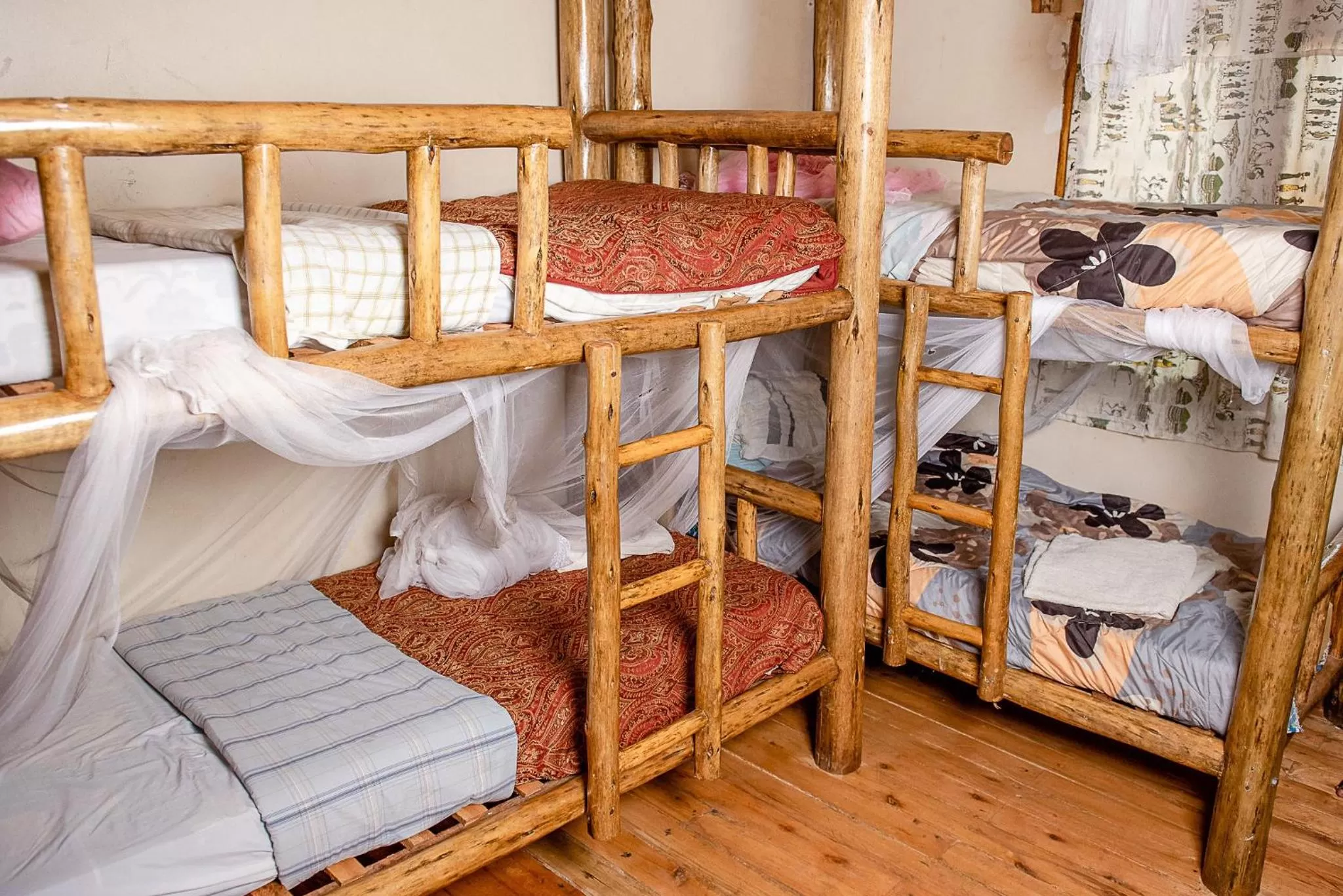 bunk bed, Bed in Elite Backpackers Services