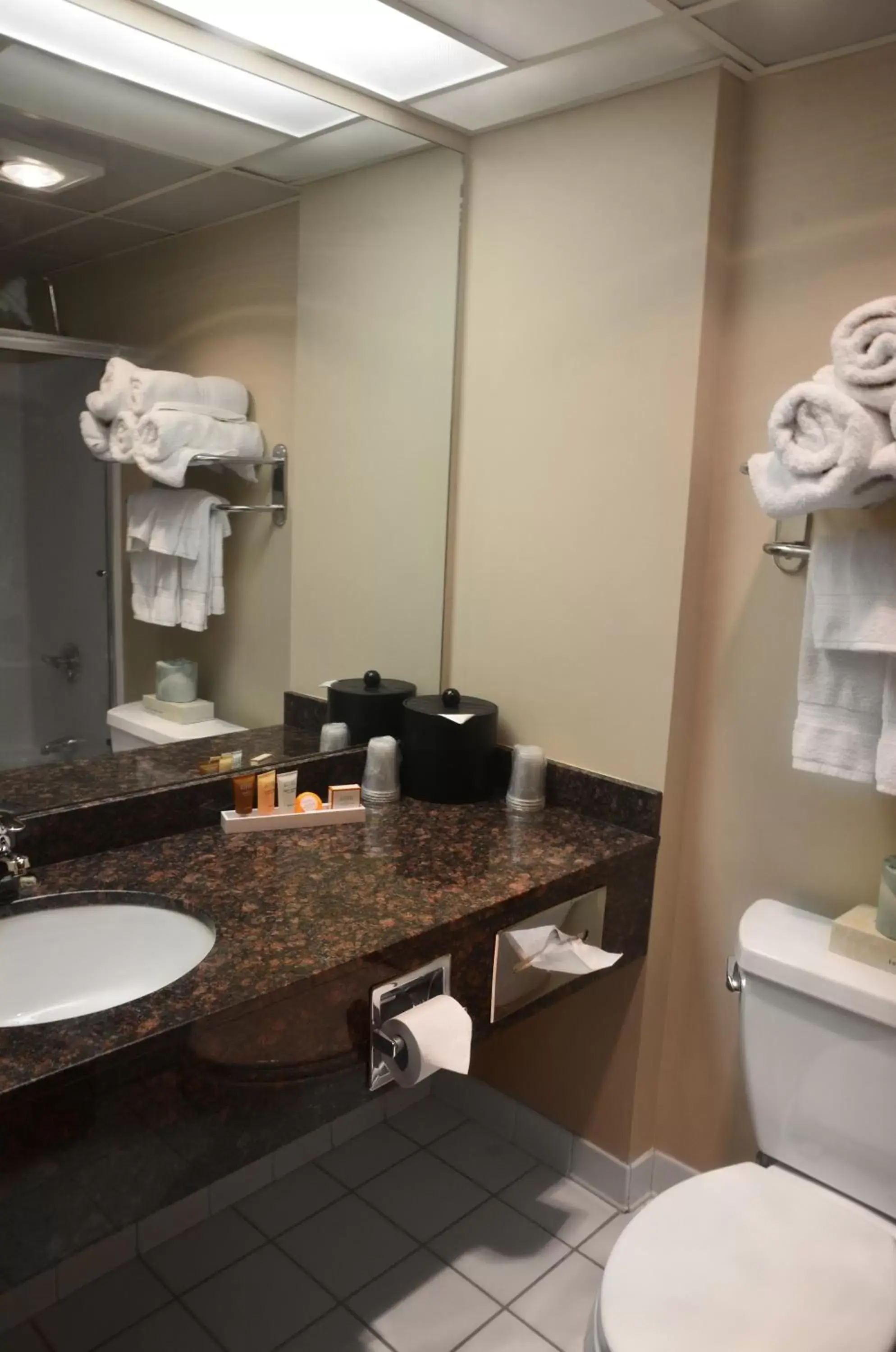 Bathroom in Centerstone Plaza Hotel Soldiers Field - Mayo Clinic Area