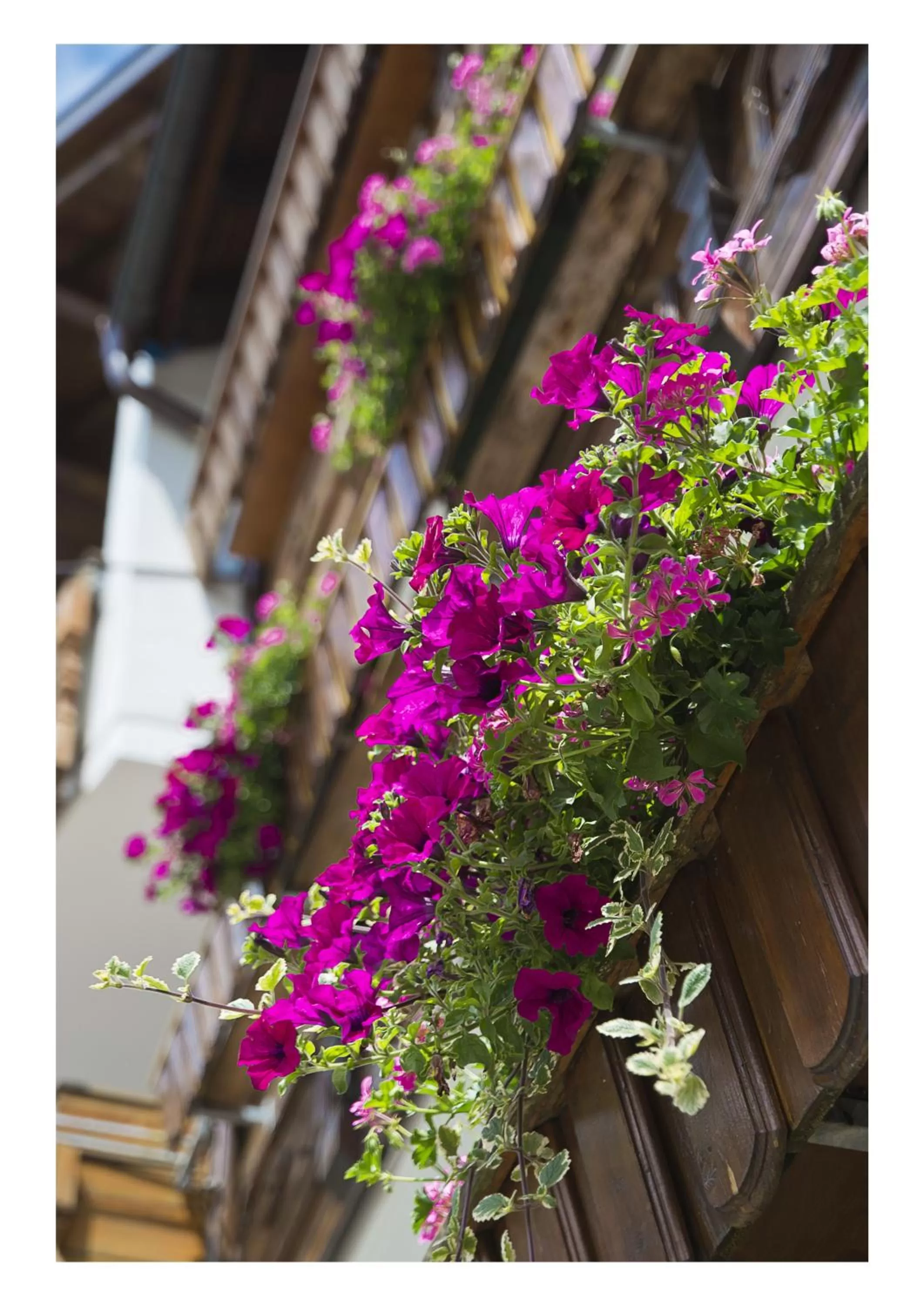 Facade/entrance in Öko-Landhotel Basler Hof