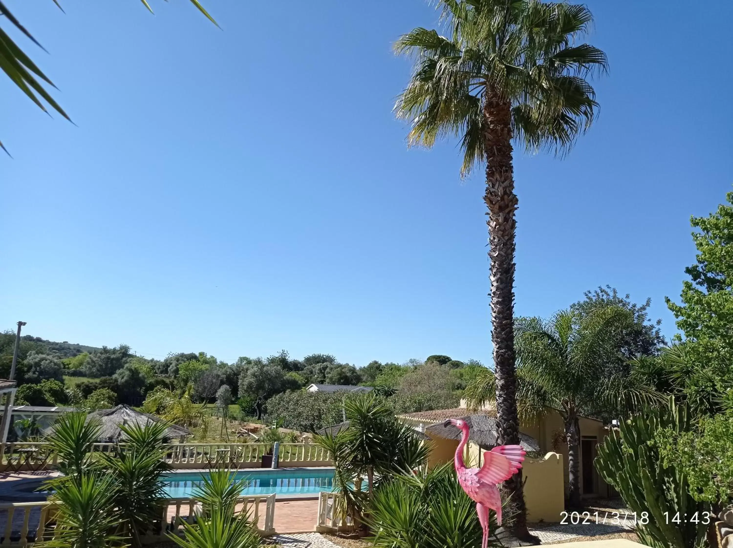 Swimming pool in Quinta Pereiro Tropic Garden, Algarve
