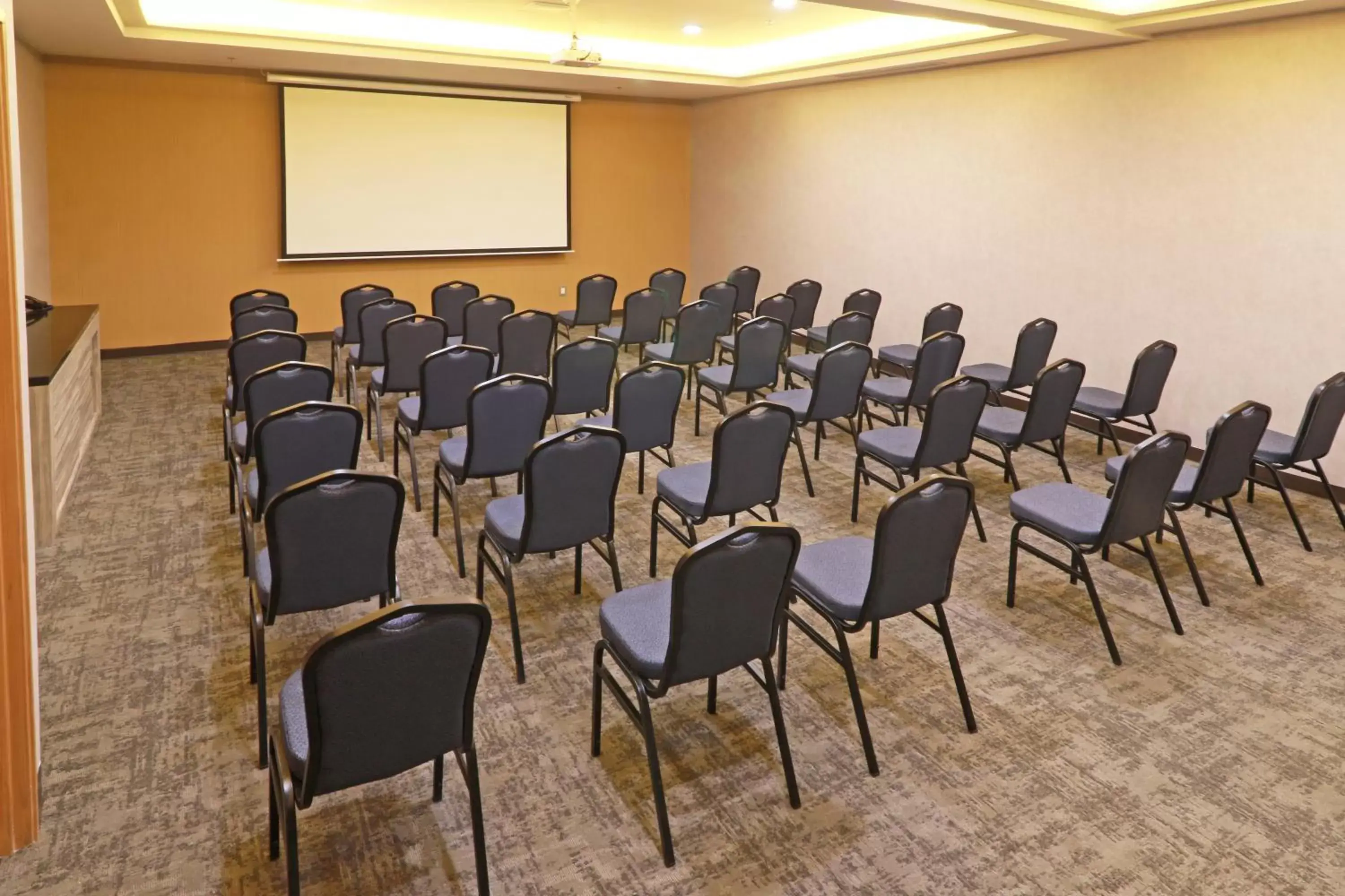 Meeting/conference room in Holiday Inn - Ciudad Juarez, an IHG Hotel