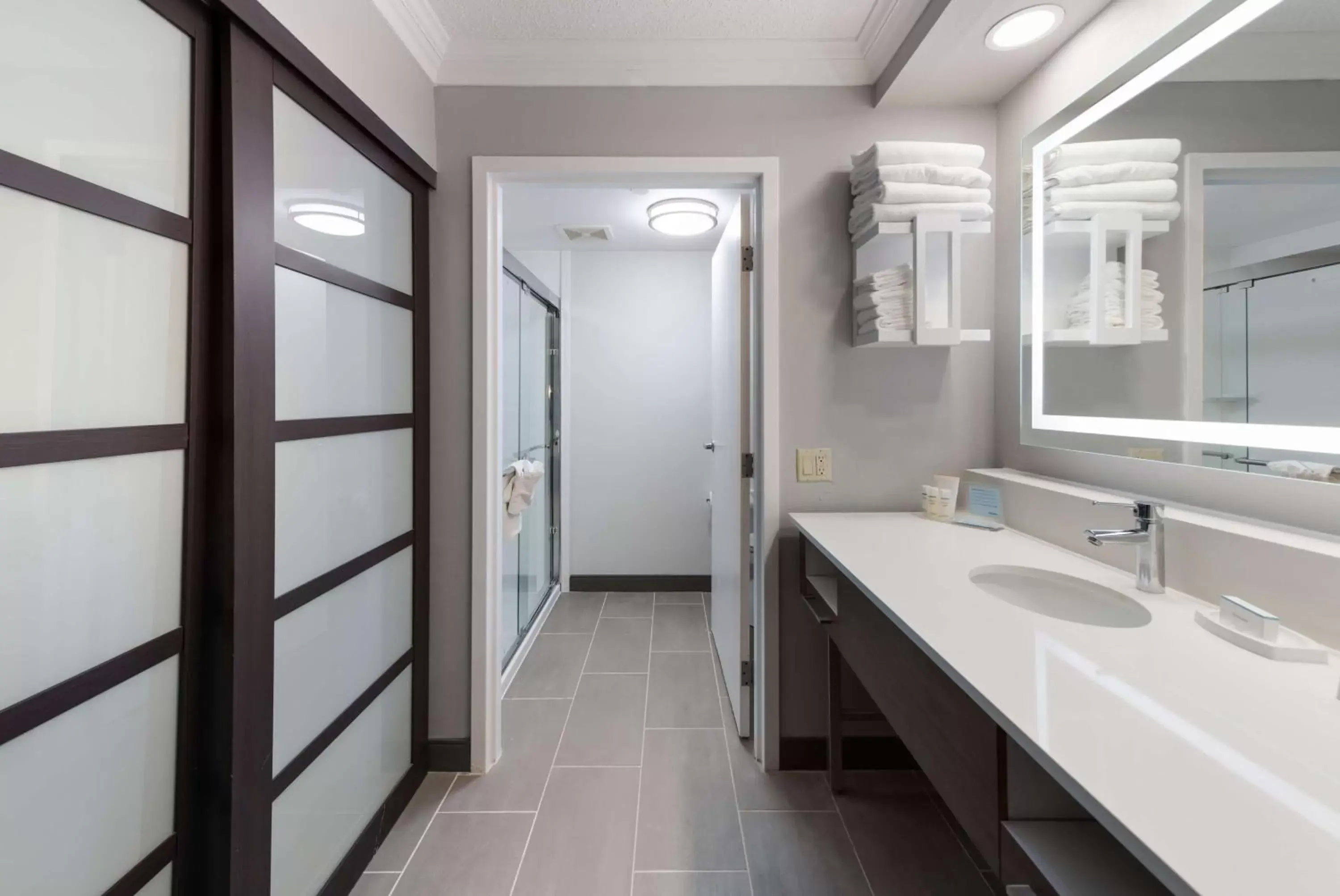 Bathroom in Hampton Inn & Suites Chicago-Hoffman Estates
