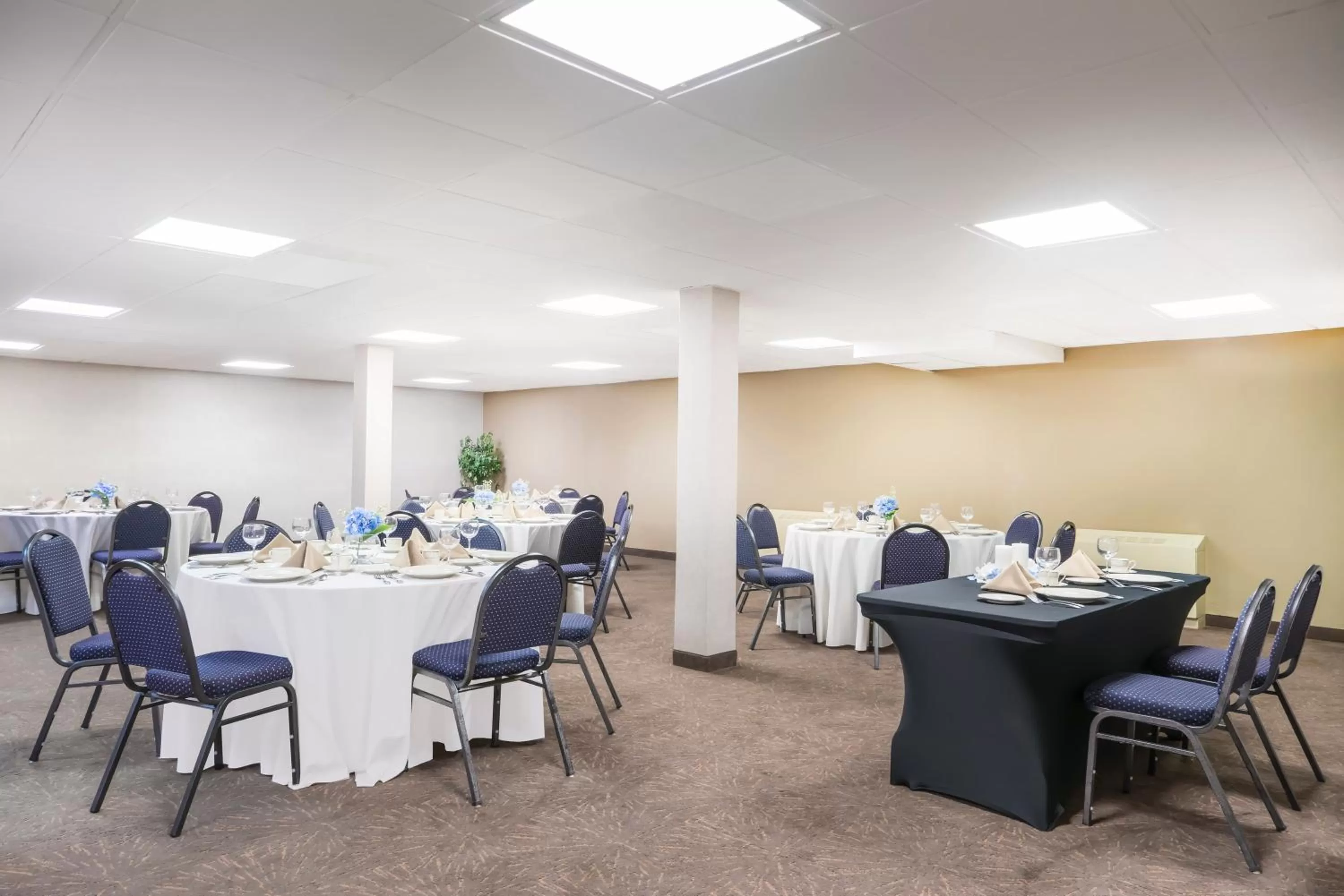 Banquet/Function facilities in Wyndham Garden Washington DC North