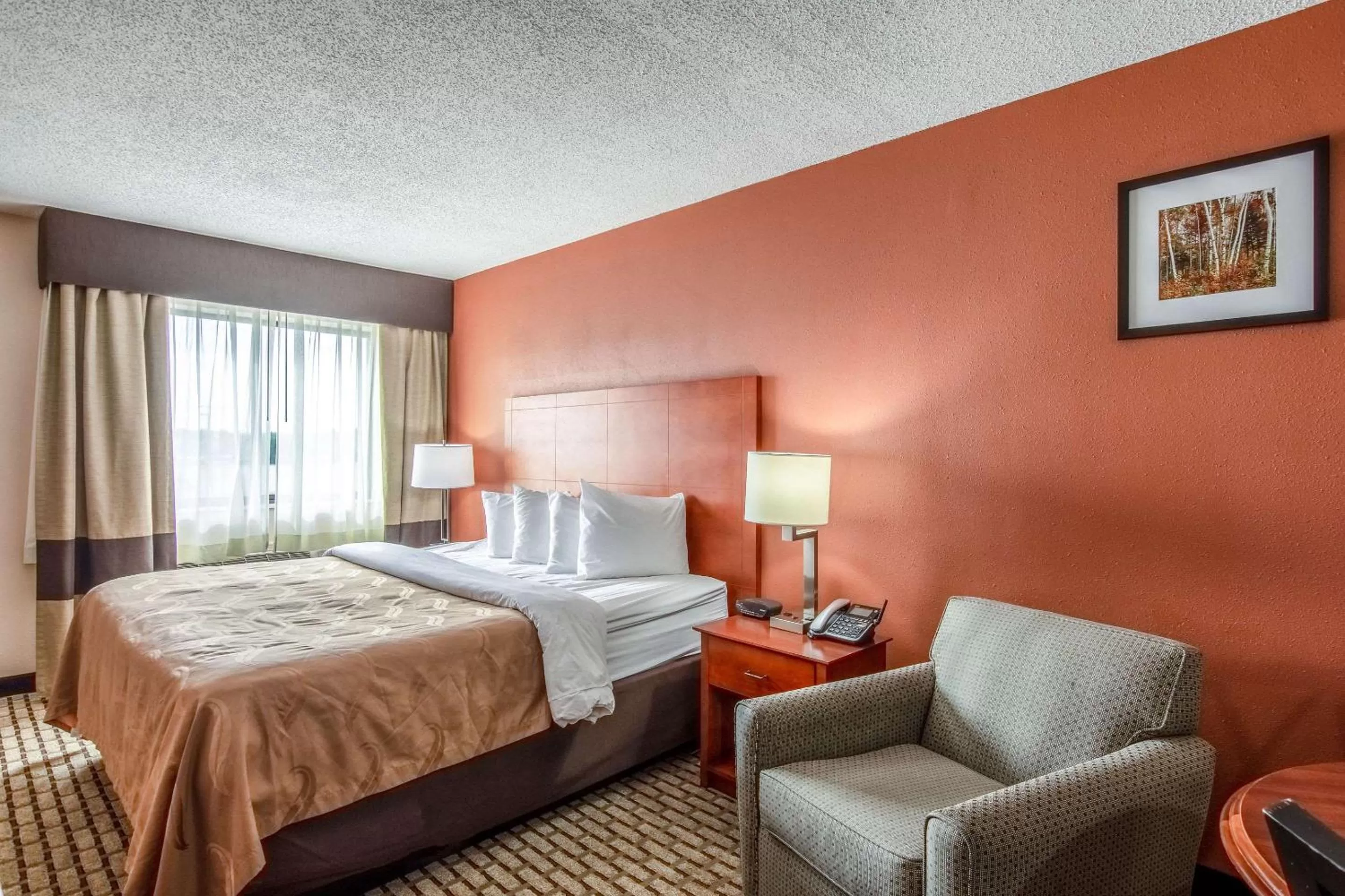 Photo of the whole room, Bed in Quality Inn & Suites
