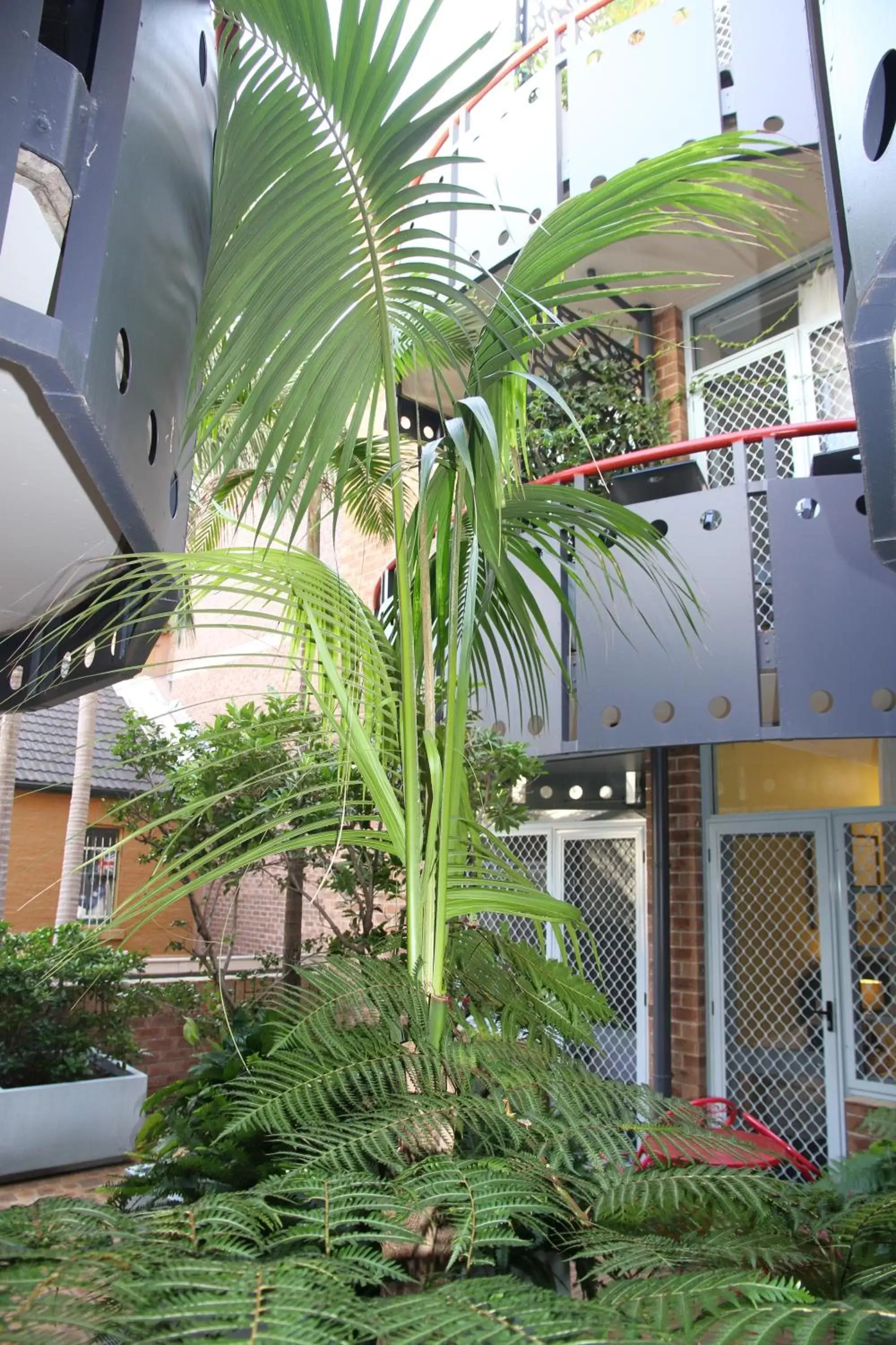 Balcony/Terrace, Property Building in Mariners Court Hotel Sydney