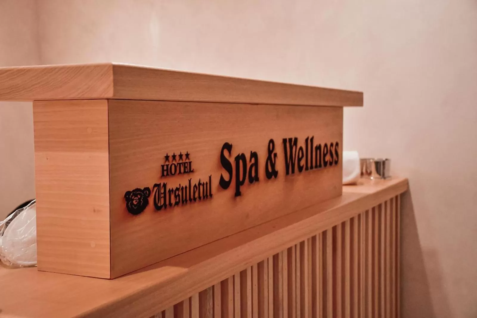 Spa and wellness centre/facilities in Ursuletul Predeal