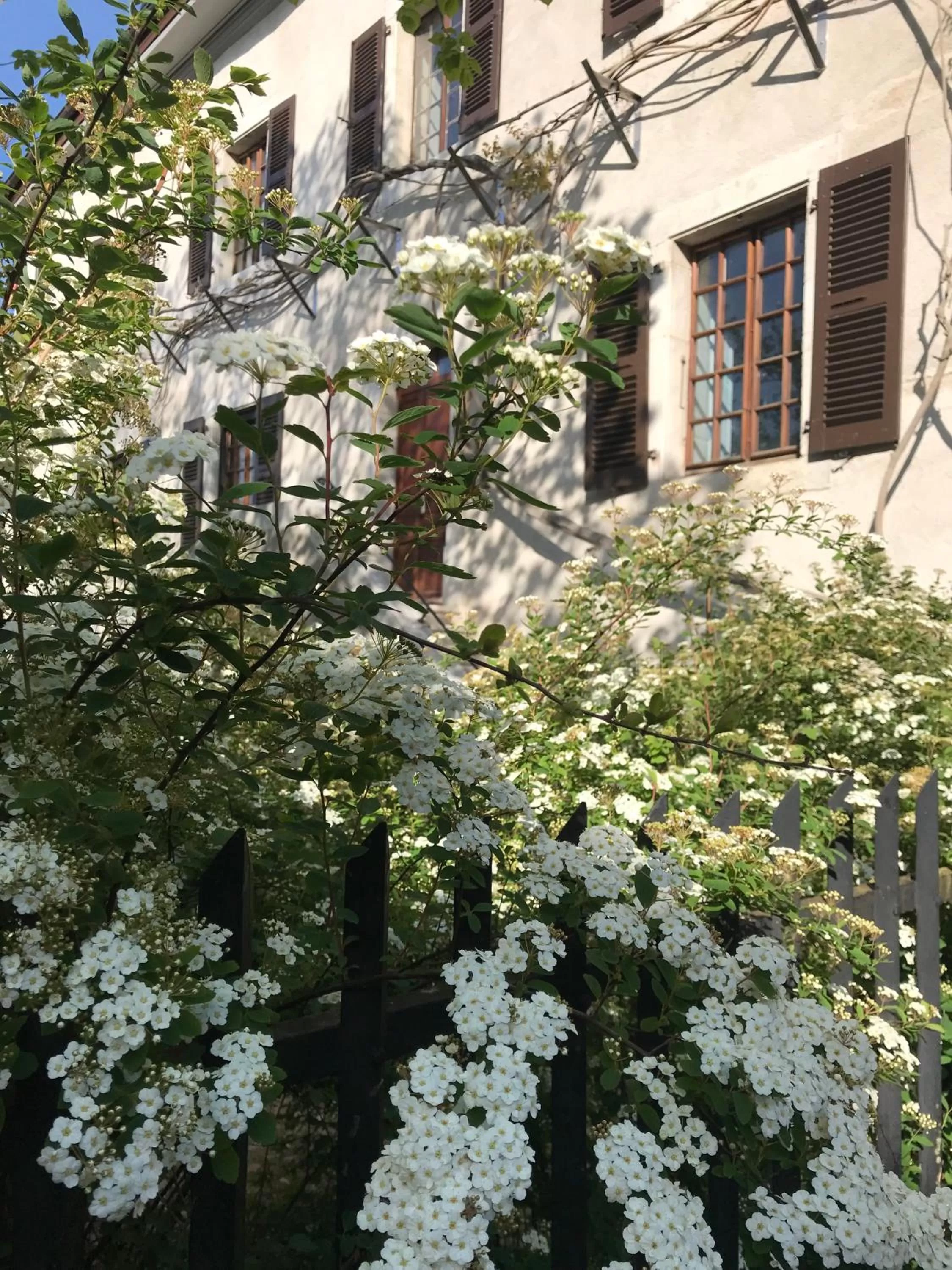 Property Building in Sessius1622