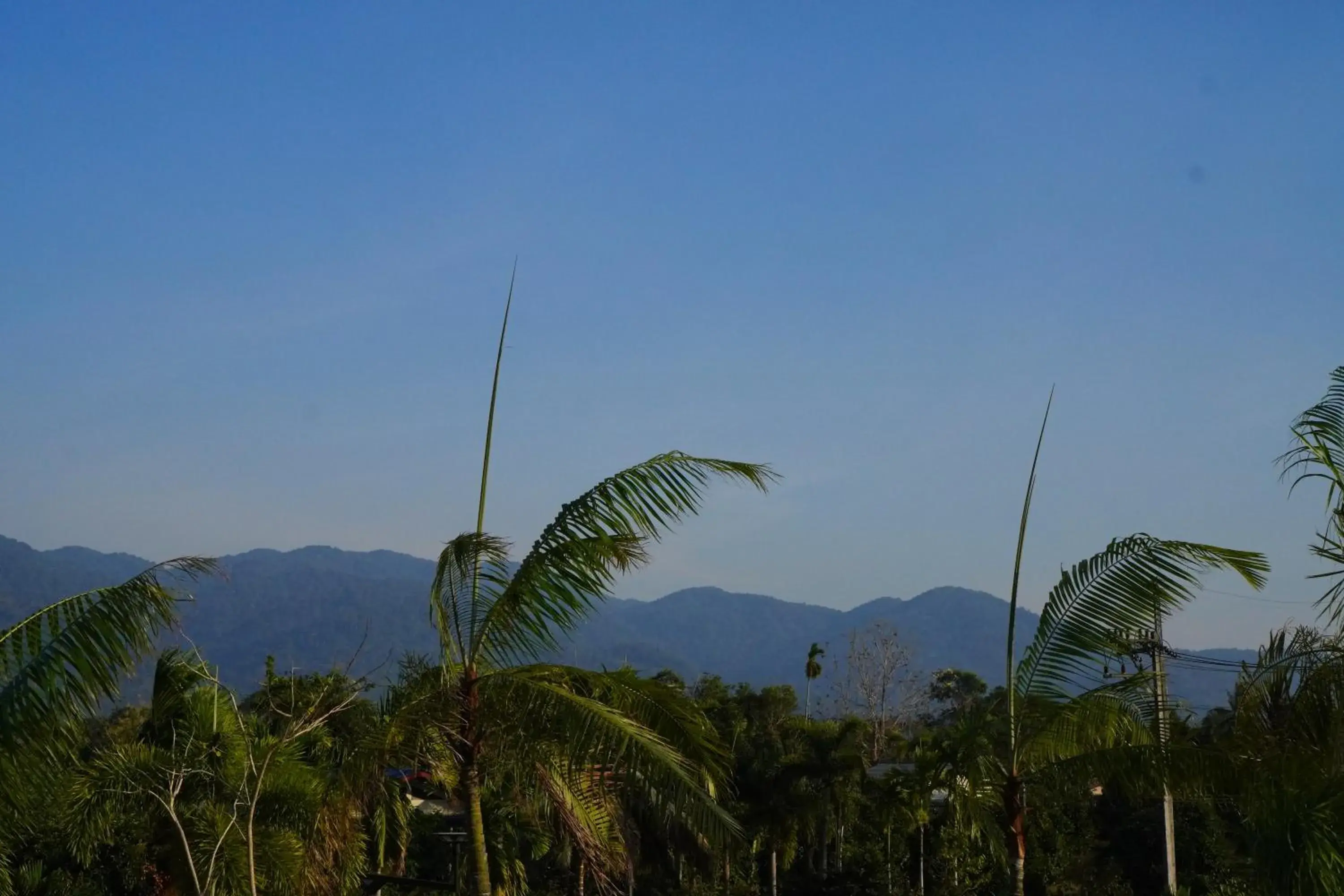 Natural landscape in Green Terrace Resort & Restaurant