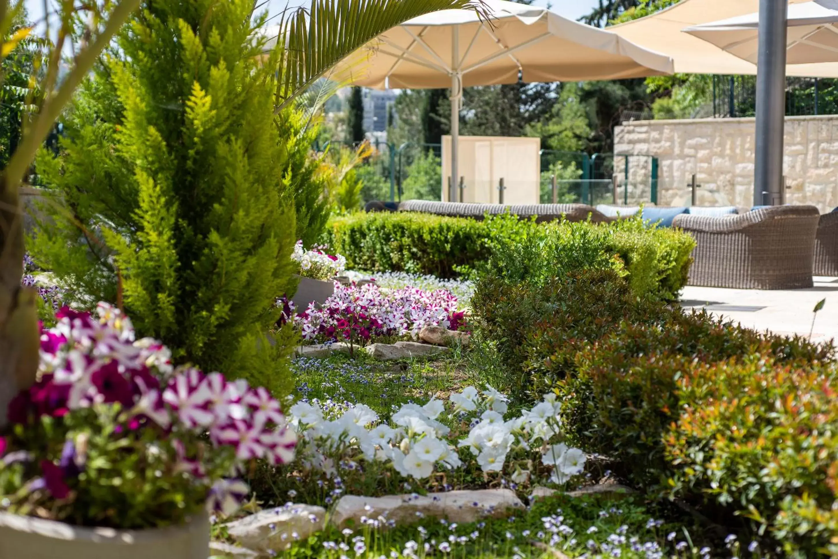 Garden in Hotel Yehuda