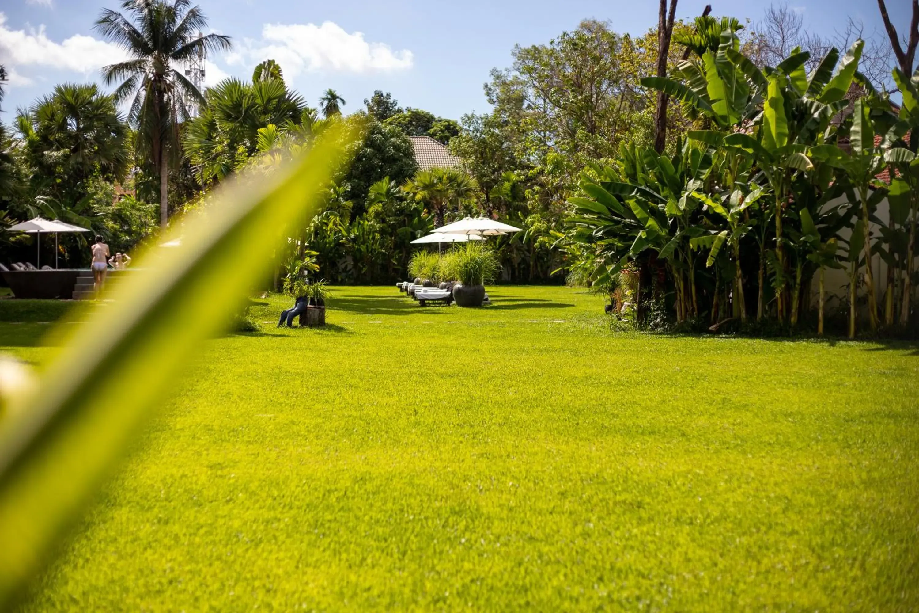 Garden in Jaya House River Park