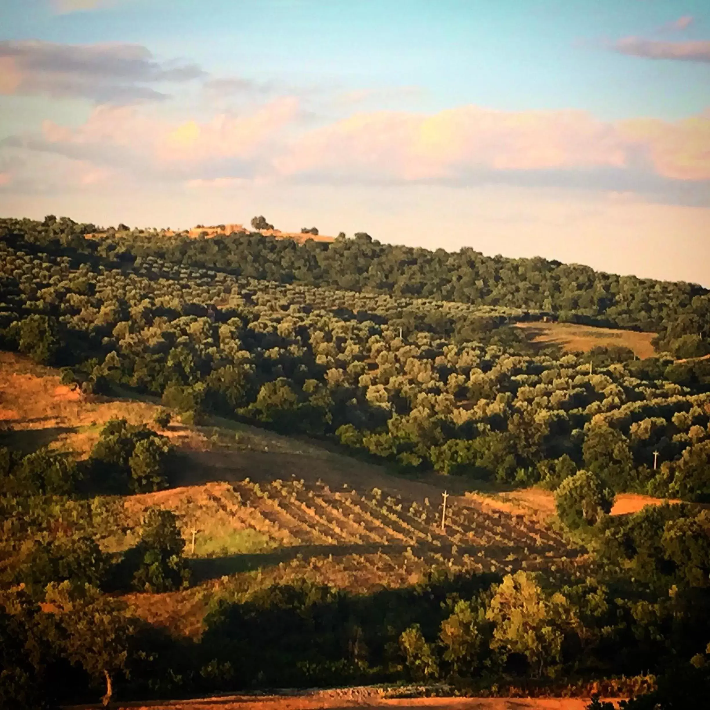 View (from property/room), Bird's-eye View in Le Tartarughe B&B