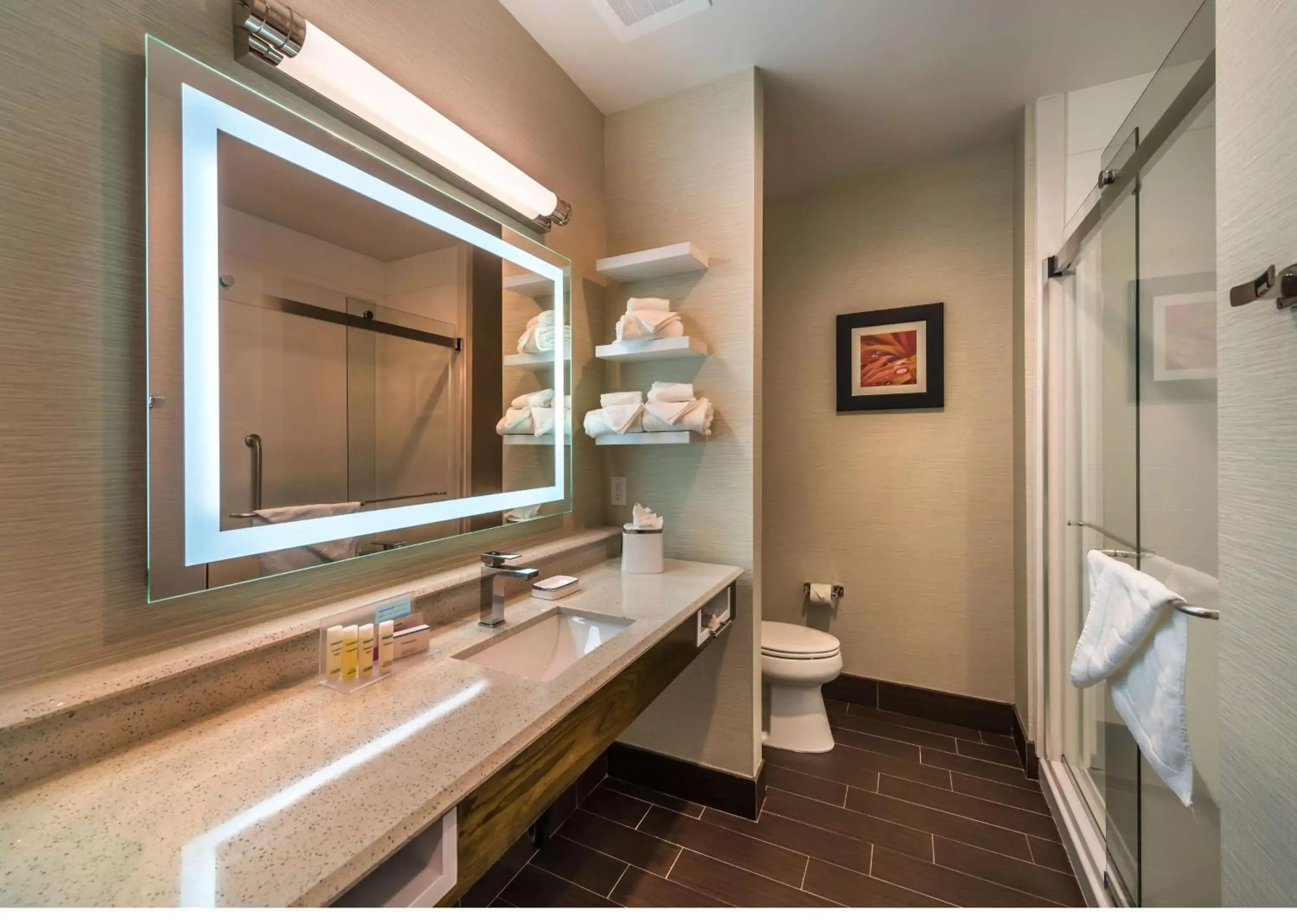 Bathroom in Hampton Inn & Suites - Reno West, NV