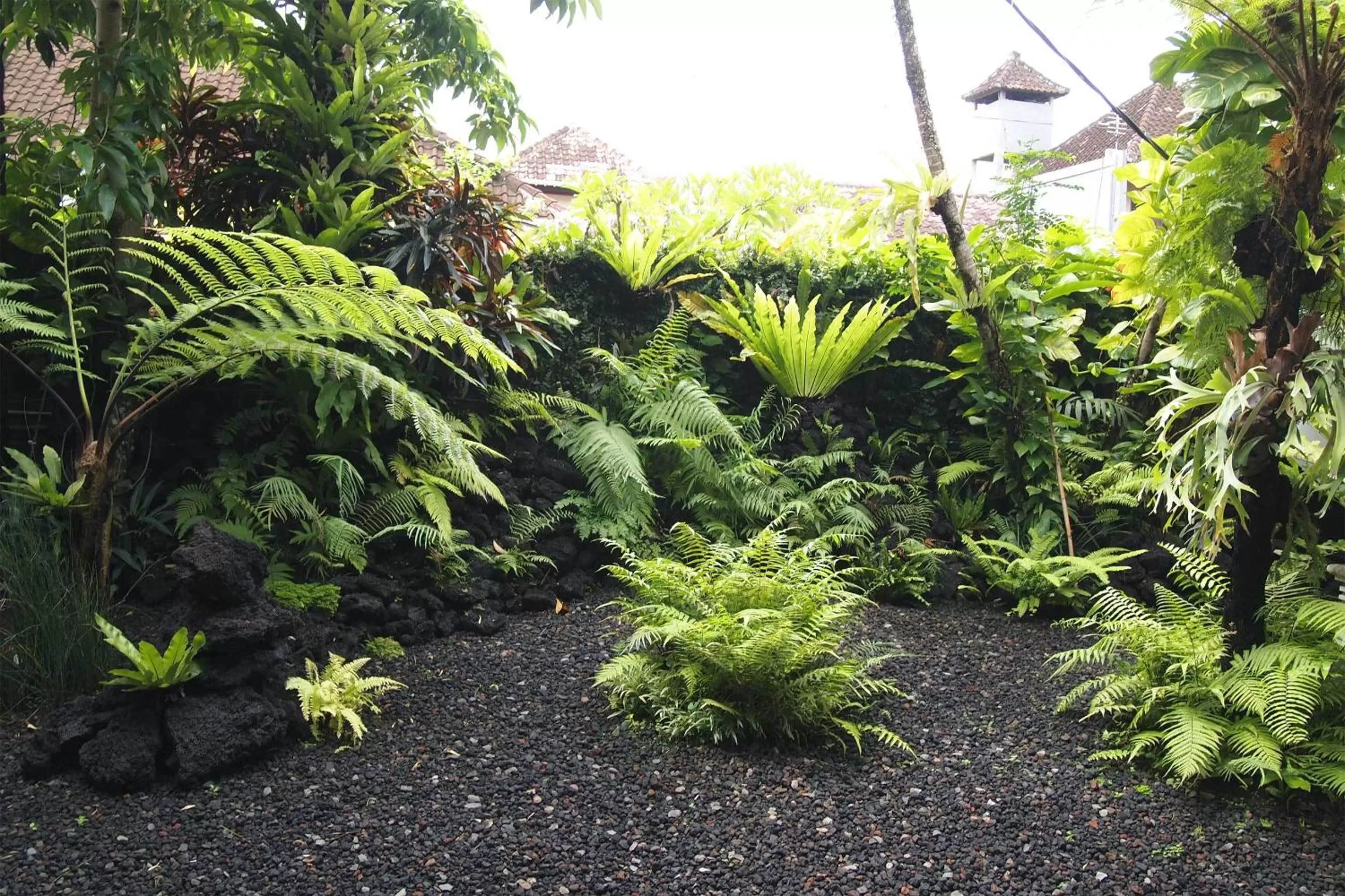 Garden in Yulia Village Inn Ubud