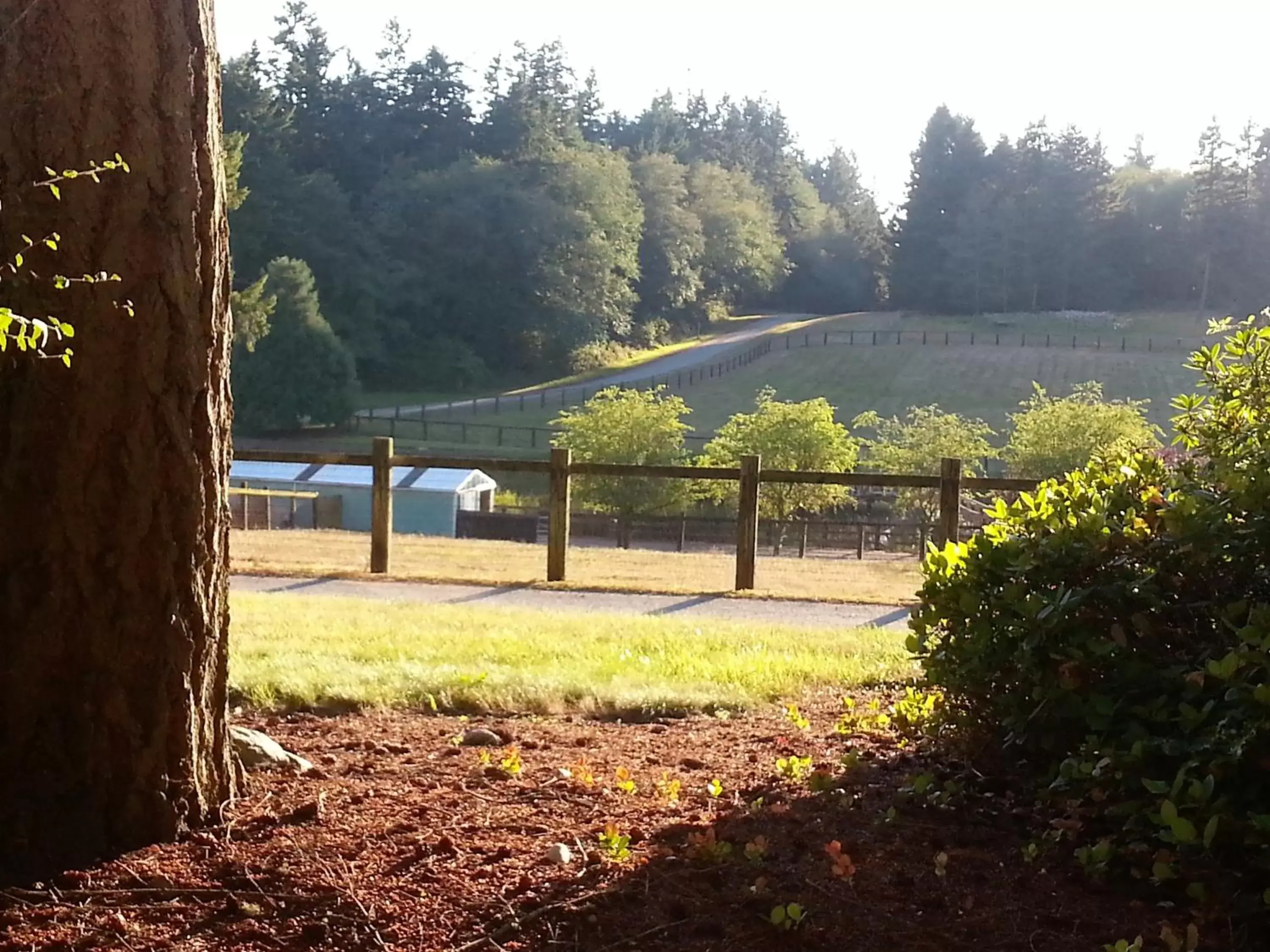 Landmark view in Wildwood Farm Bed & Breakfast