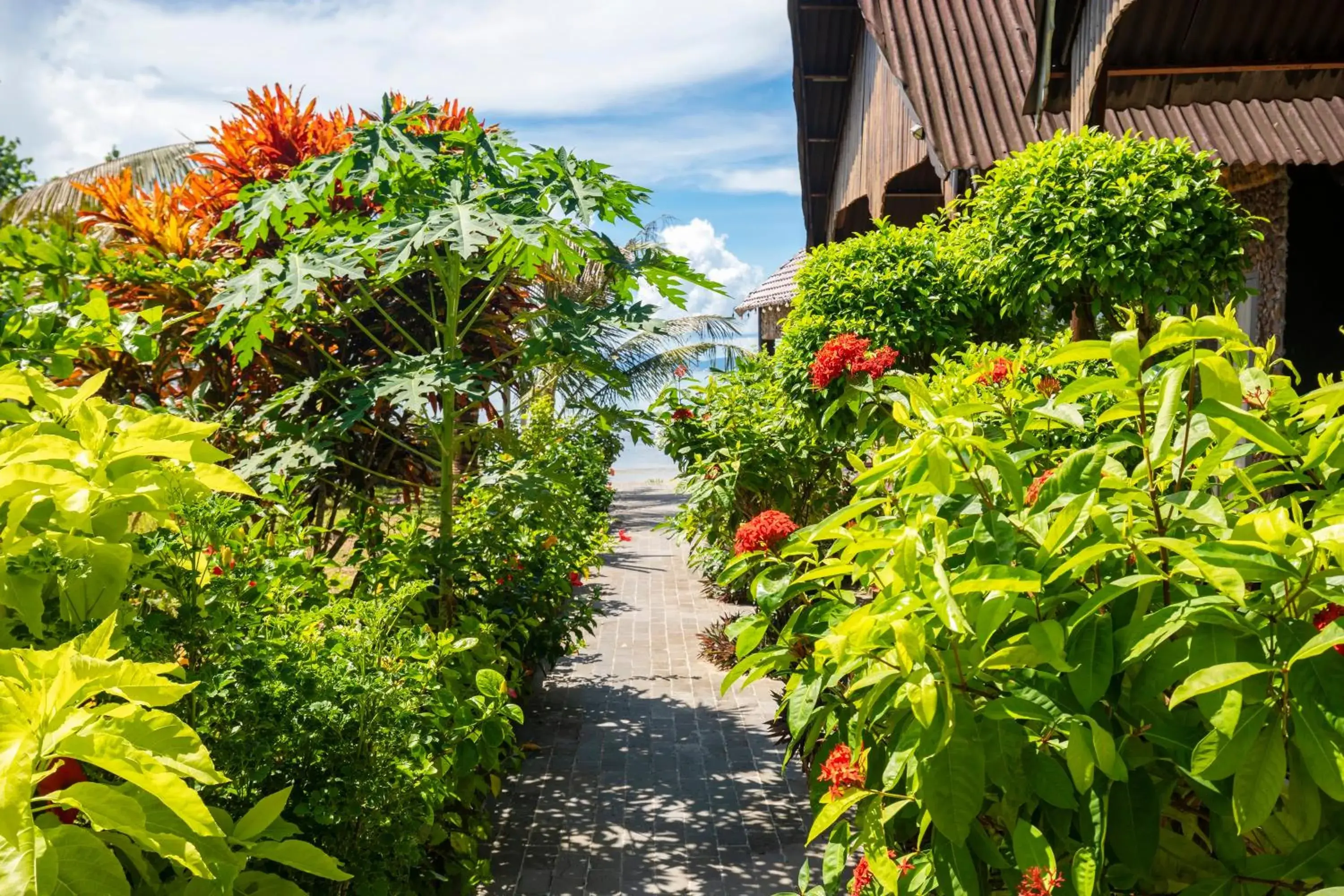 Garden in Mai Phuong Resort Phu Quoc