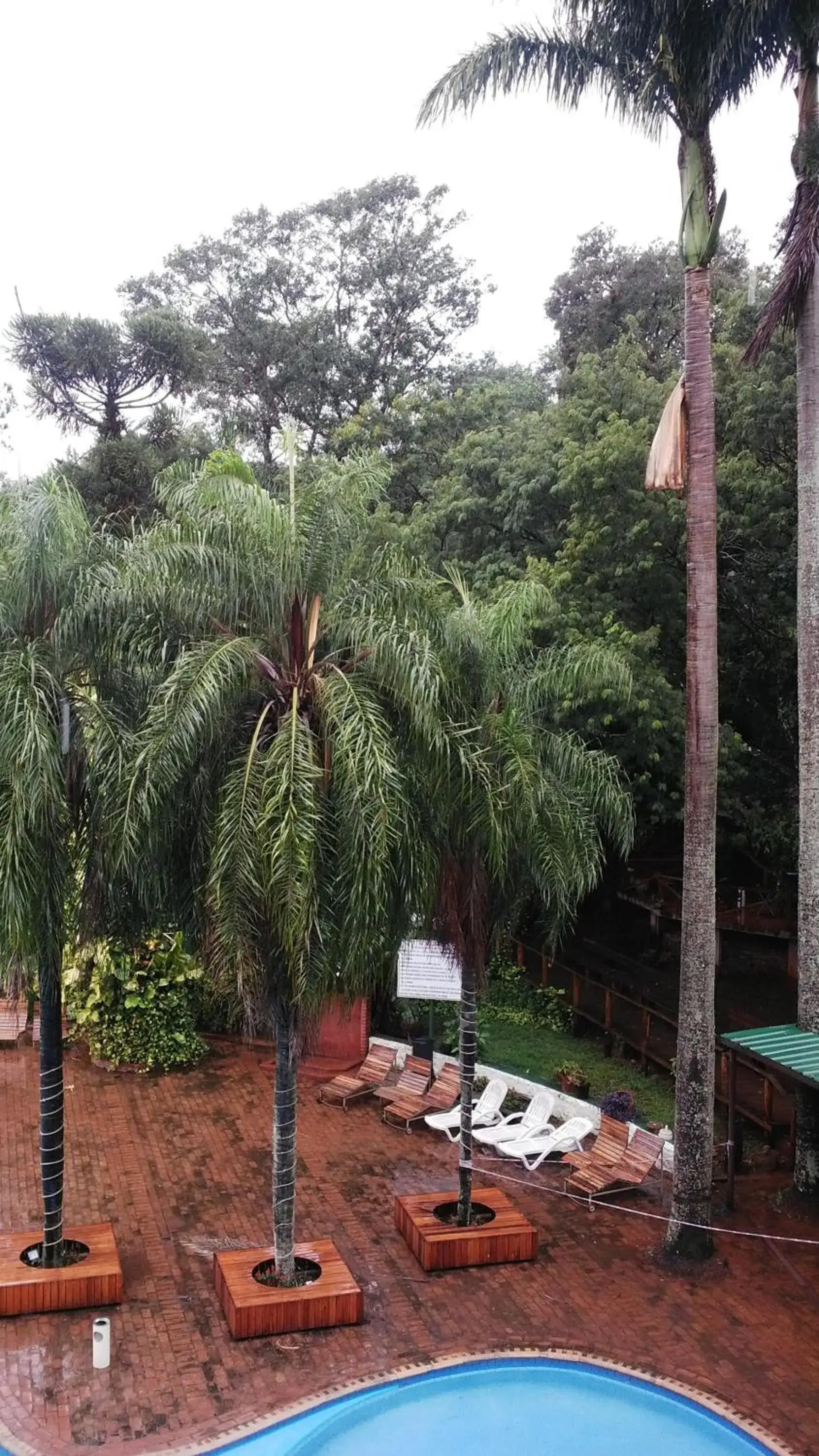 Garden in Hotel El Libertador