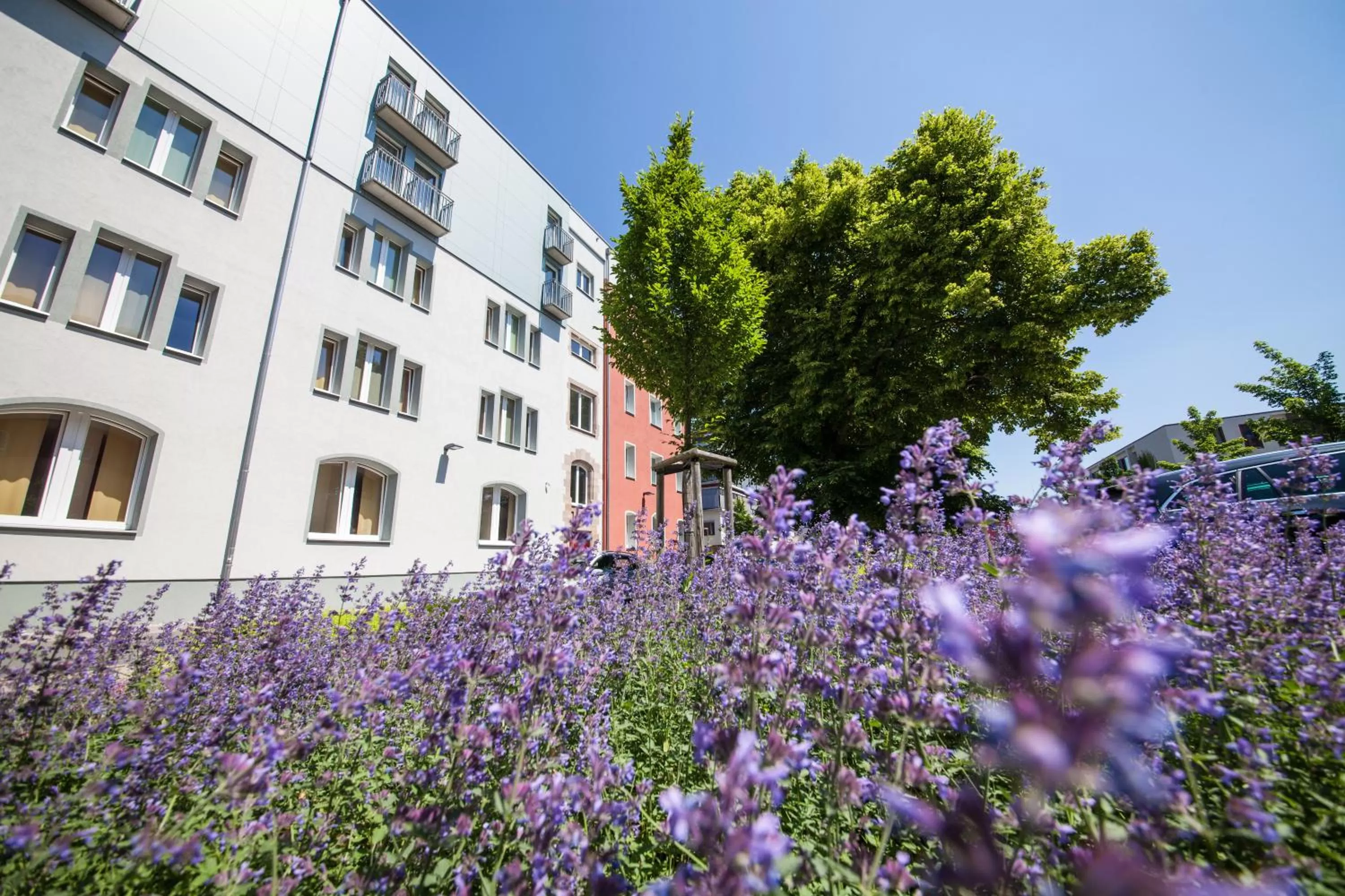 Property building in Novina Hotel Tillypark