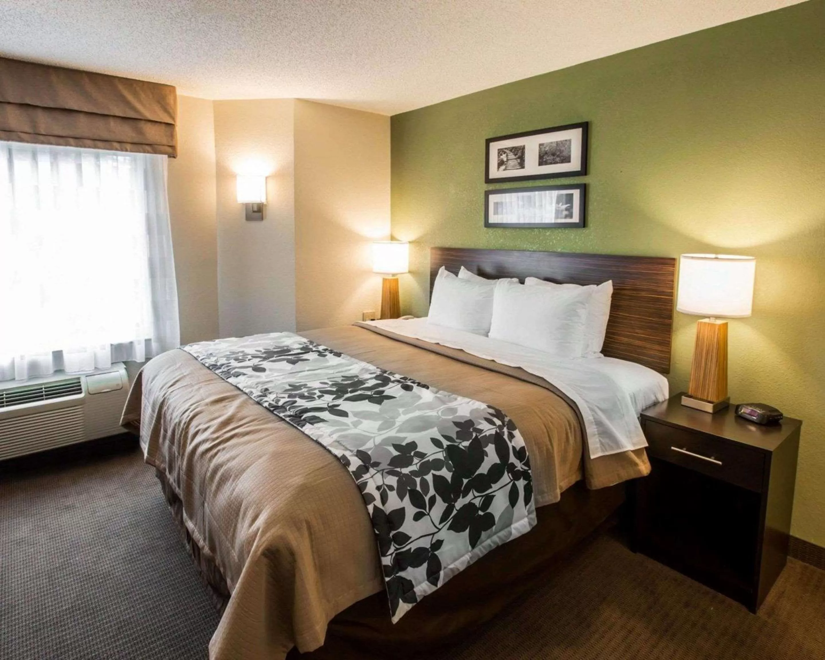 Queen Room - Accessible/Nonsmoking in Sleep Inn - Hickory