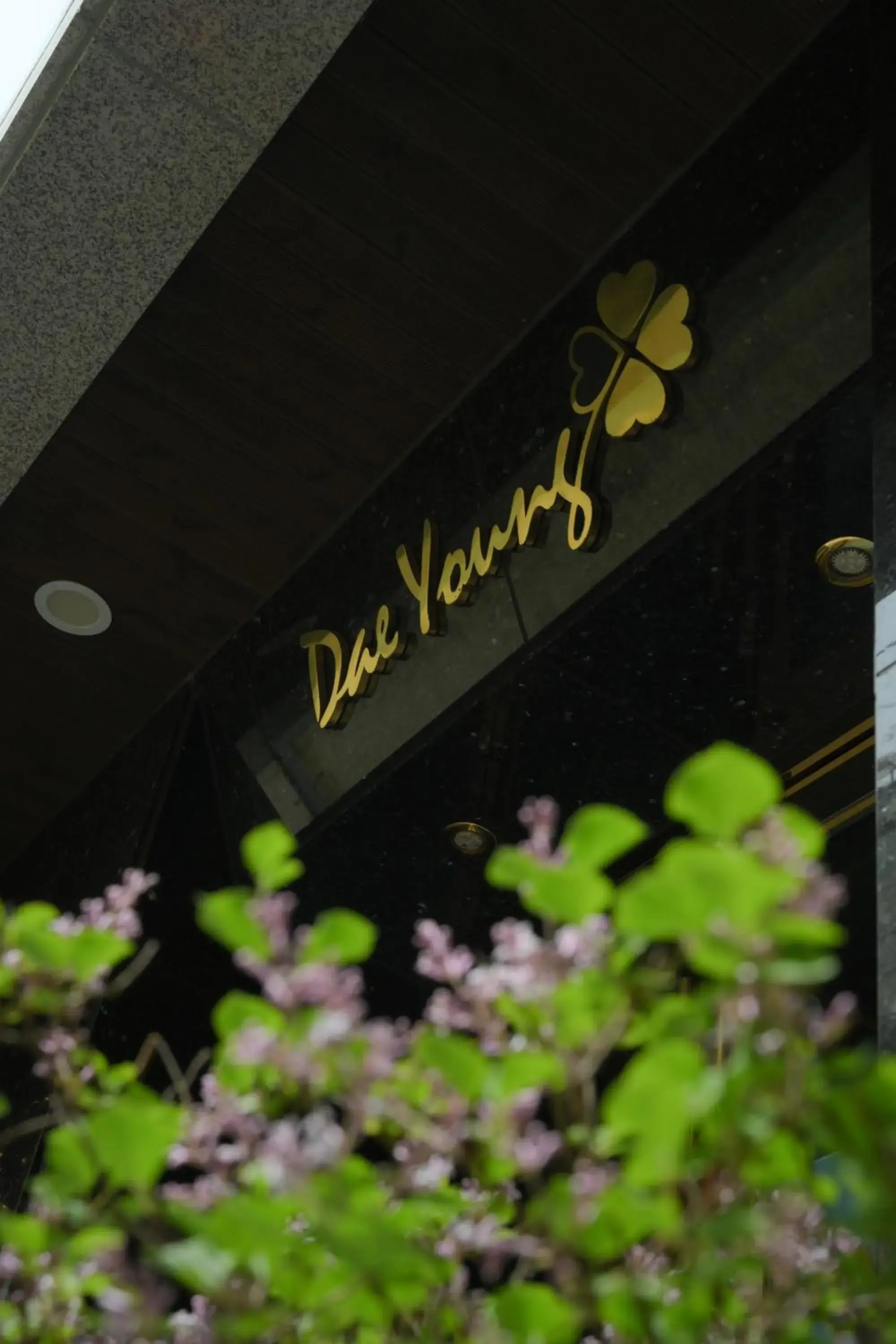 Logo/Certificate/Sign in Daeyoung Hotel Myeongdong