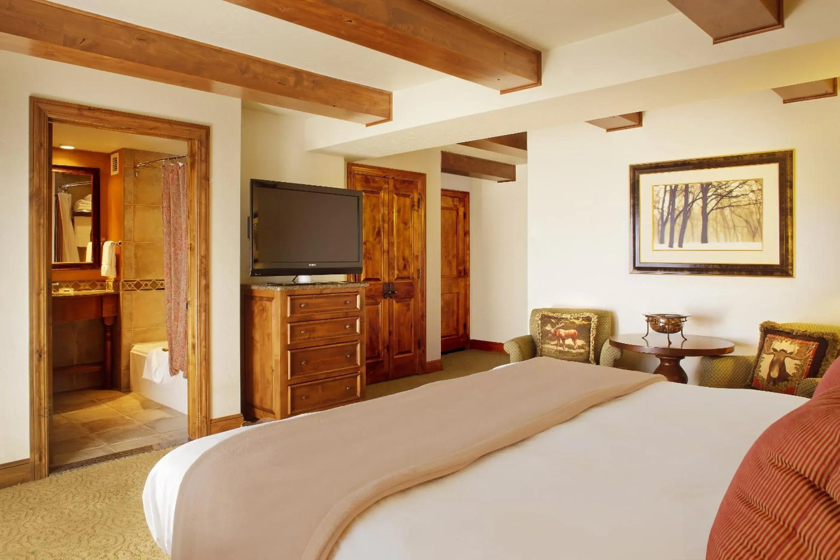 TV and multimedia, Bed in Snake River Lodge And Spa