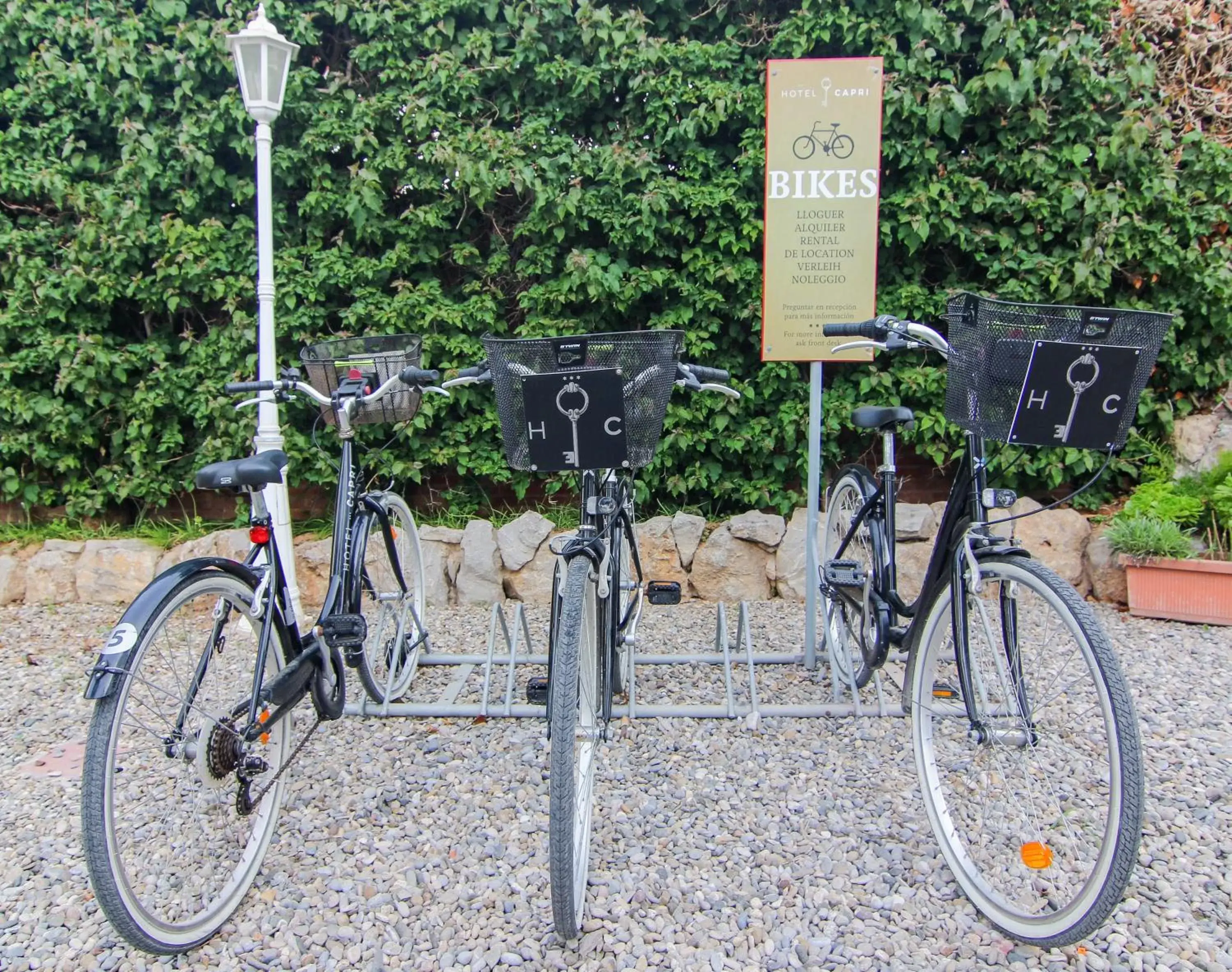 Cycling, Other Activities in Hotel Capri