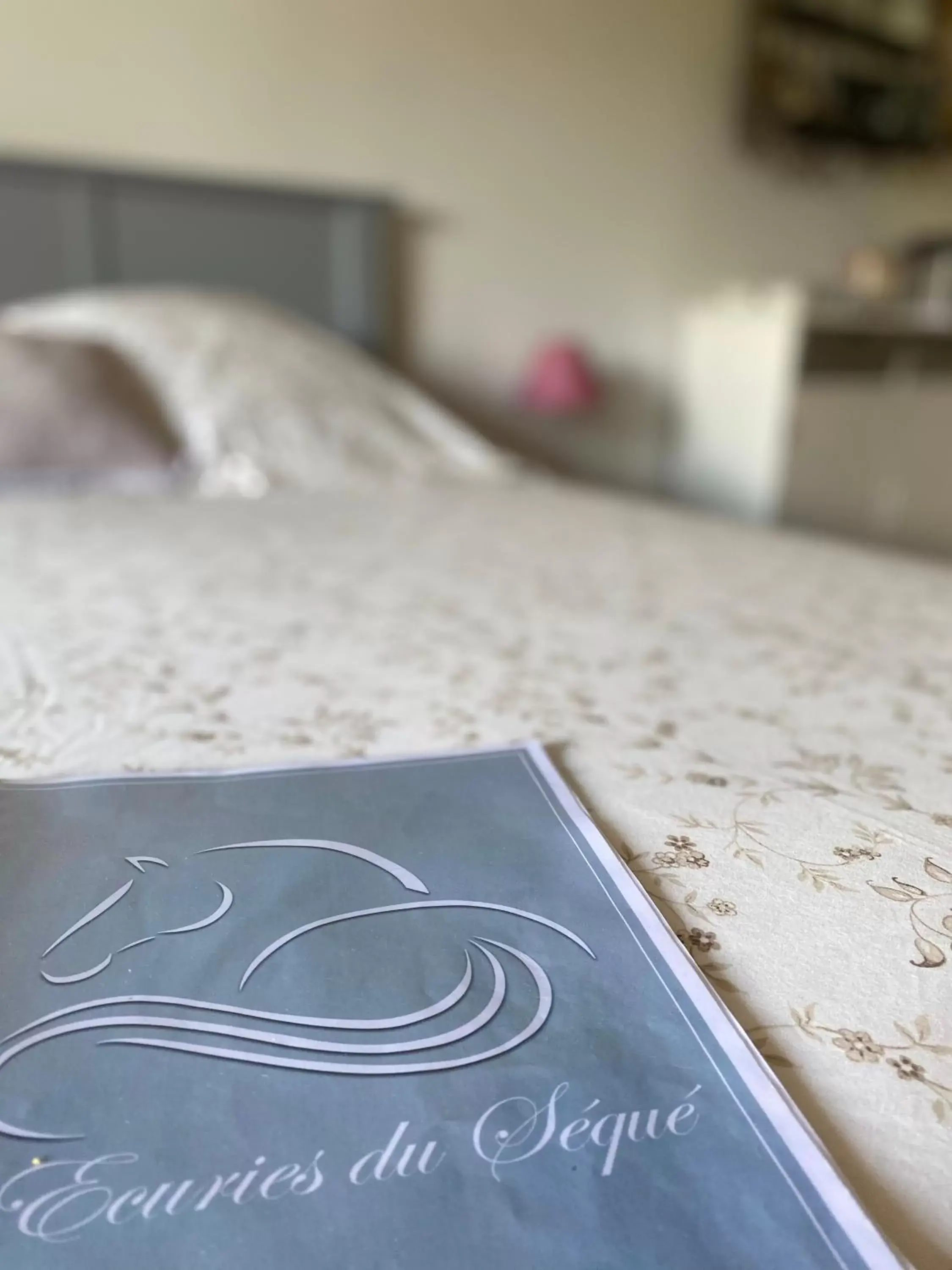 Two Connecting Double Rooms Apartment in Les Ecuries du SEQUE Two Connecting Double Rooms Apartment in Les Ecuries du SEQUE