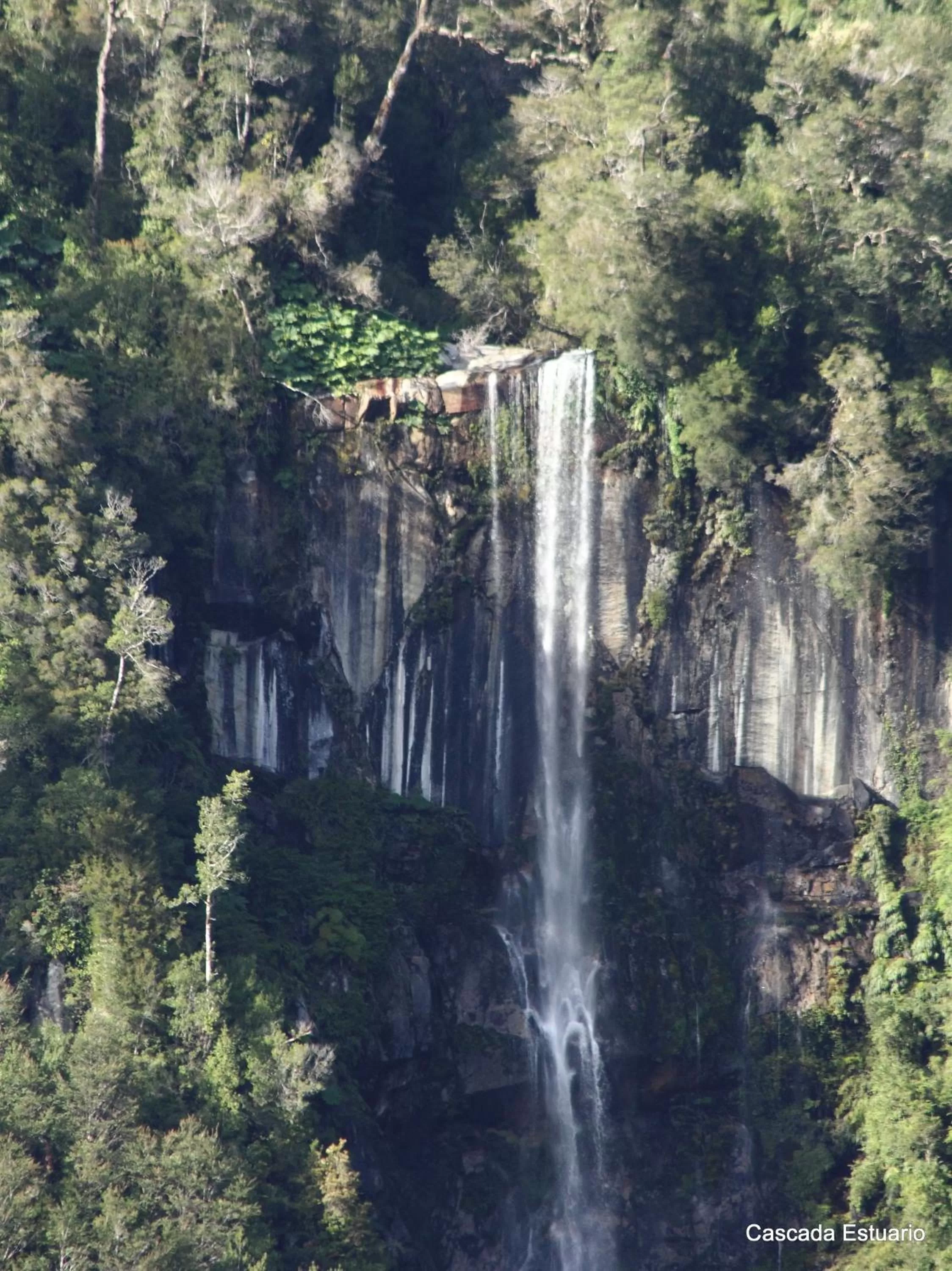 Other, Natural Landscape in Posada Queulat
